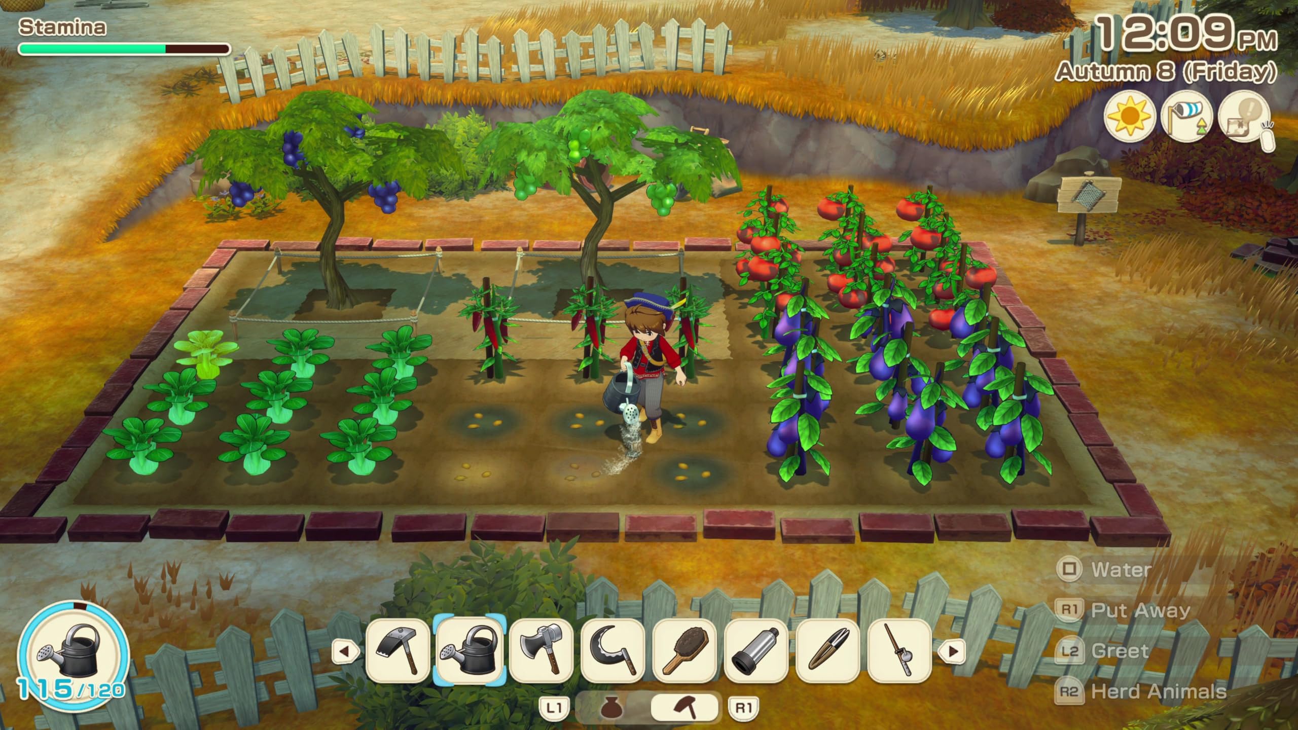 Story of Seasons: Grand Bazaar - PS5