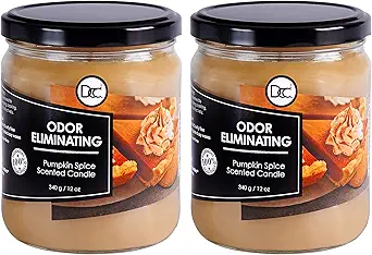 Pumpkin Spice Two Pack Odor Eliminating Highly Fragranced Candle - Eliminates 95% of Pet, Smoke, Food, and Other Smells Quickly - Up to 80 Hour Burn time - 12 Ounce Premium Soy Blend