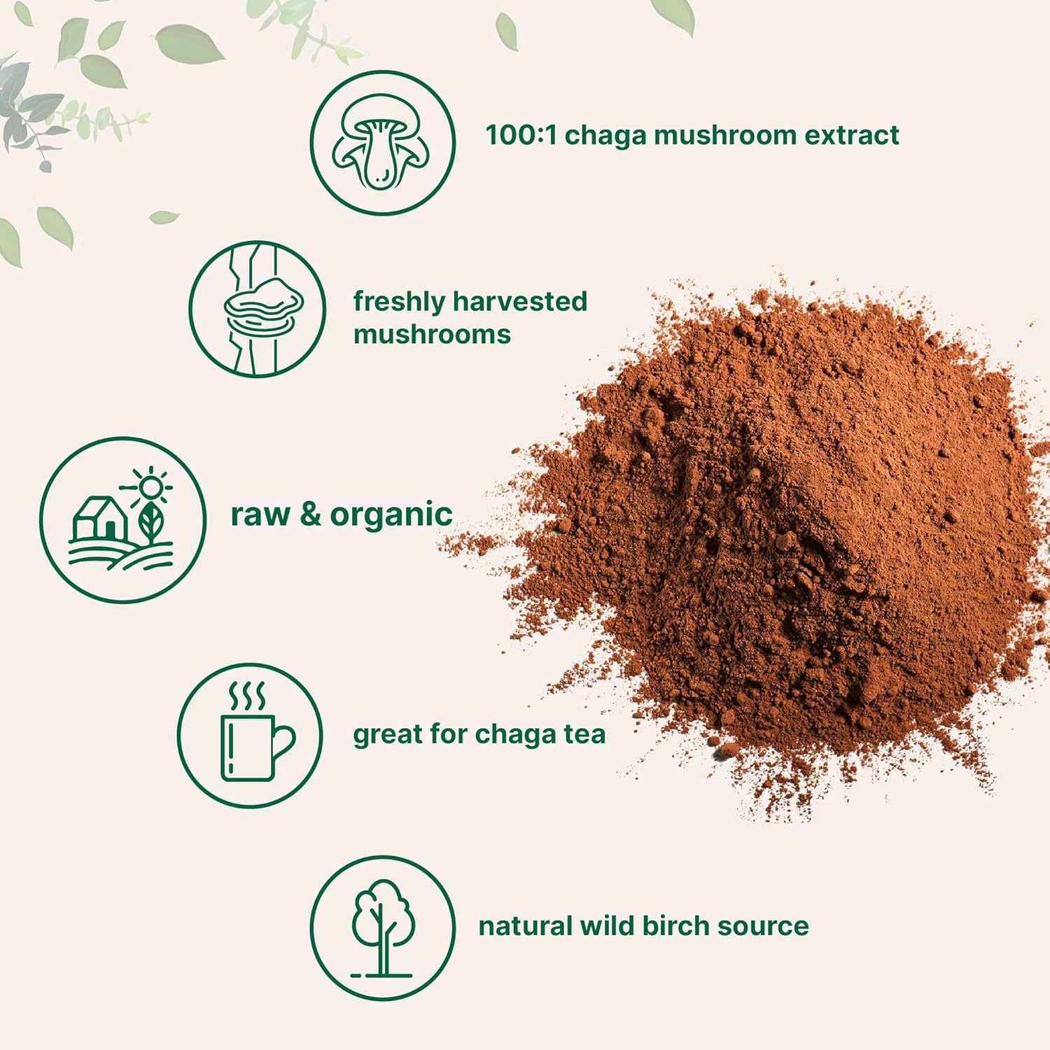 Micro Ingredients Organic Chaga Mushroom Extract, 10 oz | 100:1 Wild Harvested | Supports Immune & Antioxidant Defense | Great for Tea & Smoothies | Non-GMO, Vegan Friendly - Image 3