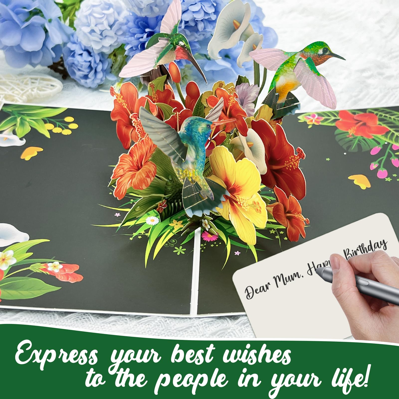 Musical Birthday Card For Women, 3D Pop Up Hummingbird Greeting Cards Also As Anniversary Card Get Well Card Thank You Card Sympathy Card For Girls Women Wife Daughter Granddaughter Sister