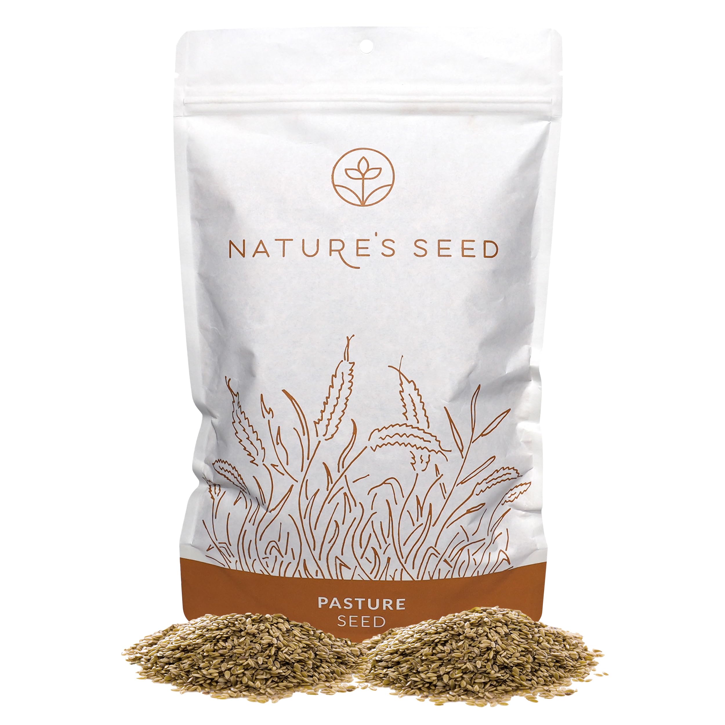 Nature’s Seed Switchgrass Seed, Warm-Season Native Grass for Soil Stabilization, Forage and Wildlife Habitat, 1 Lb