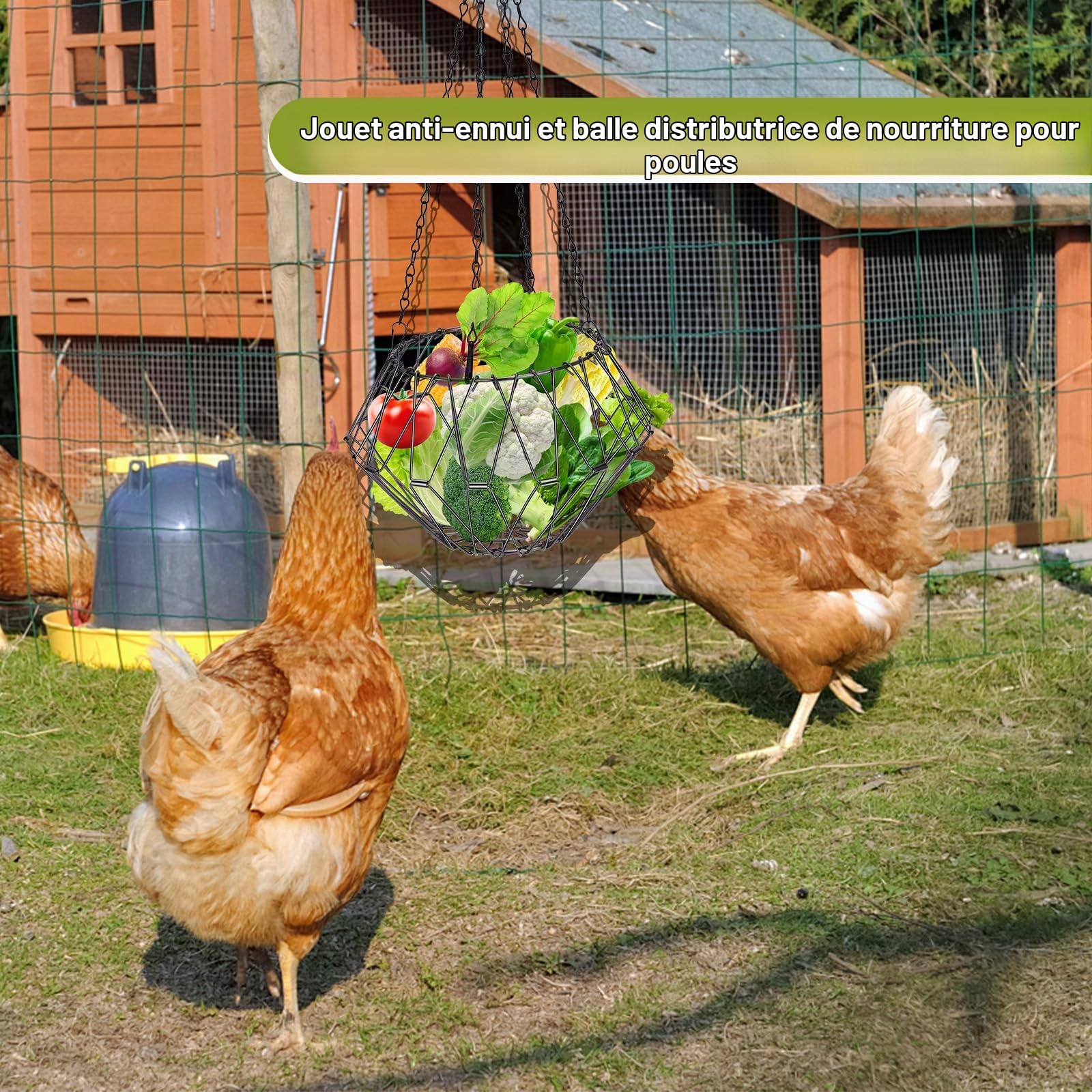 Mangeoires à Poulet, Distributeurs de Nourriture Volailles à Suspendre pour Fruits, Légumes, Panier d'alimentation Pliable pour Canard, Oie, Oiseau, Lapins