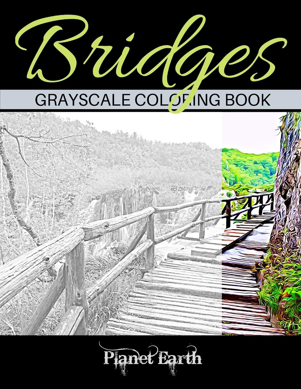 Bridges Grayscale Coloring Book: Beautiful Bridges in the Forest. Grayscale Coloring Book for Adults.