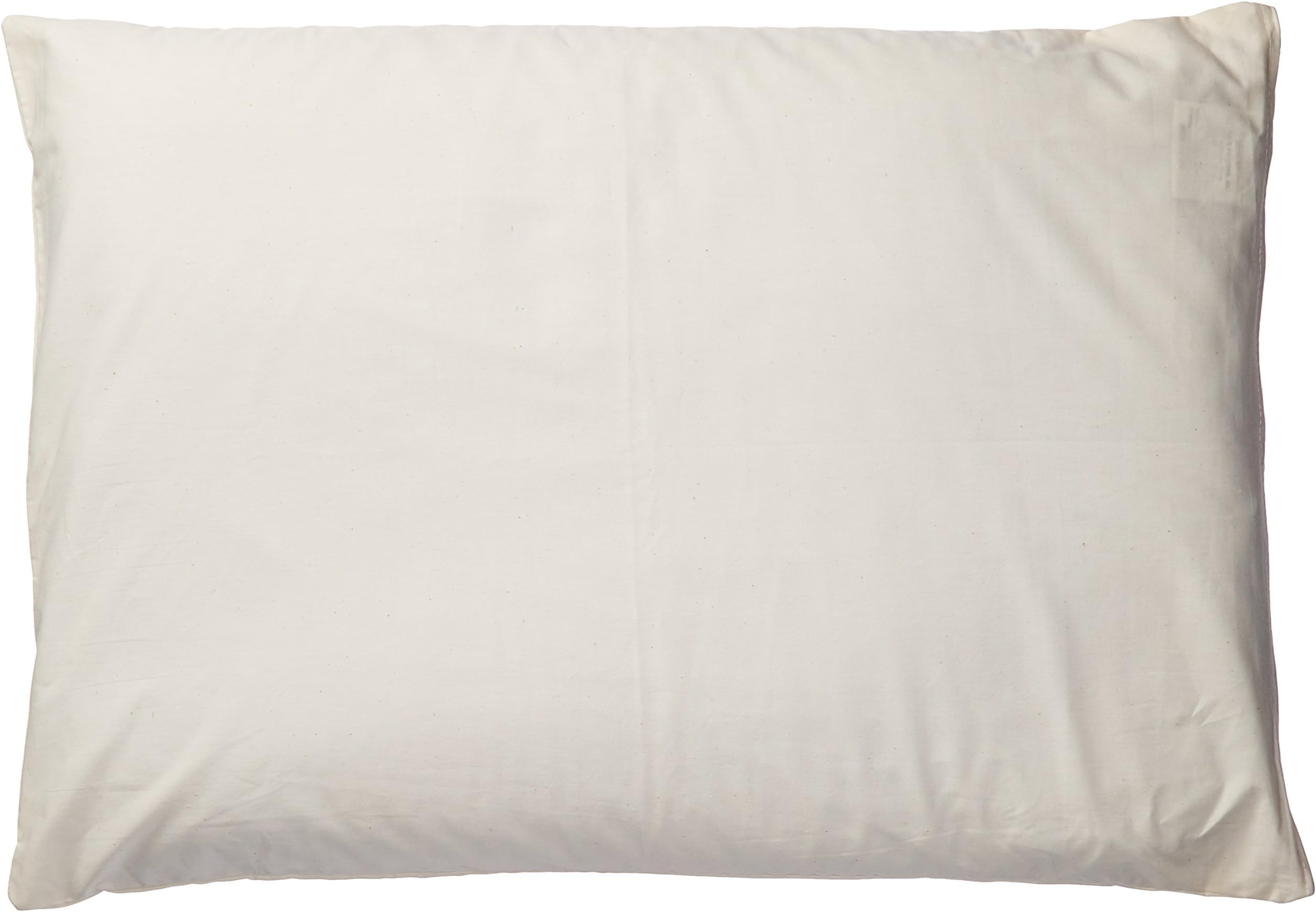 Sobakawa Buckwheat Pillow With Free Pillow Protective Cover, 19" x 29"