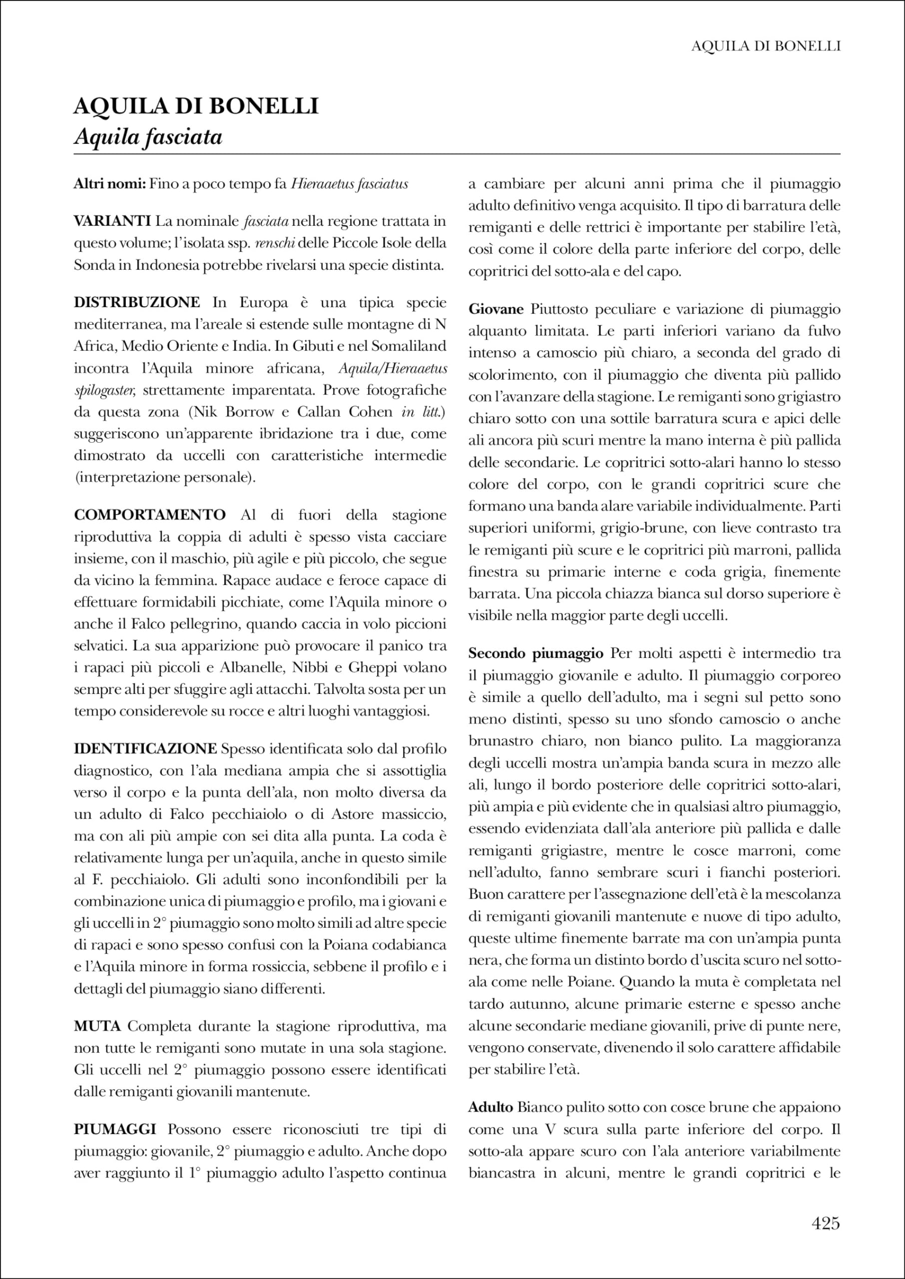 Identificare i rapaci in volo. Europa, Nord Africa e Medio Oriente