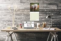 Vista 863 de Razas de Perros 2017