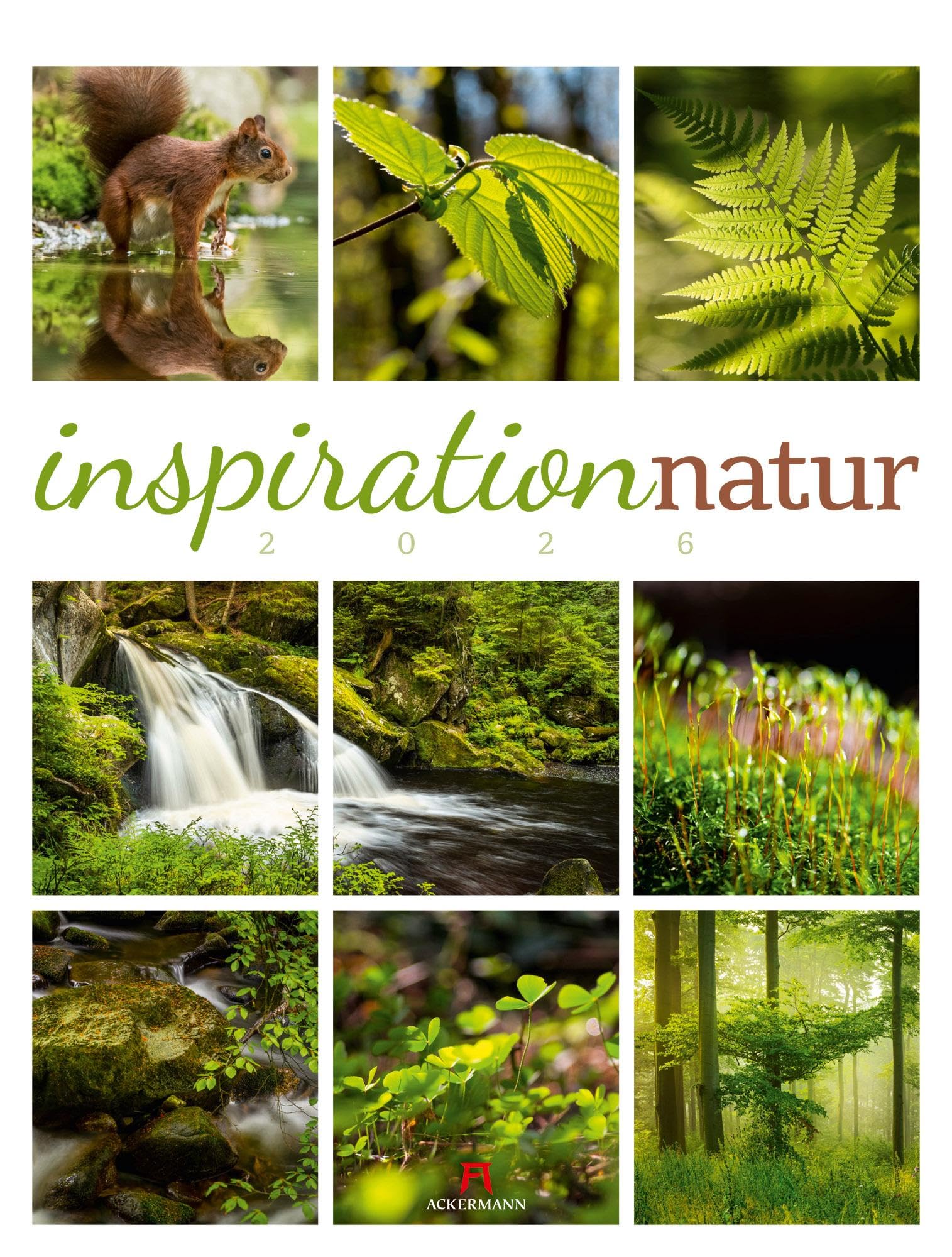 Inspiration Natur Kalender 2026 | Vielfältiger Natur-Kalender im großen Hochformat (50x66 cm) | Mehrteilige Bildmosaike im Triplet-Stil