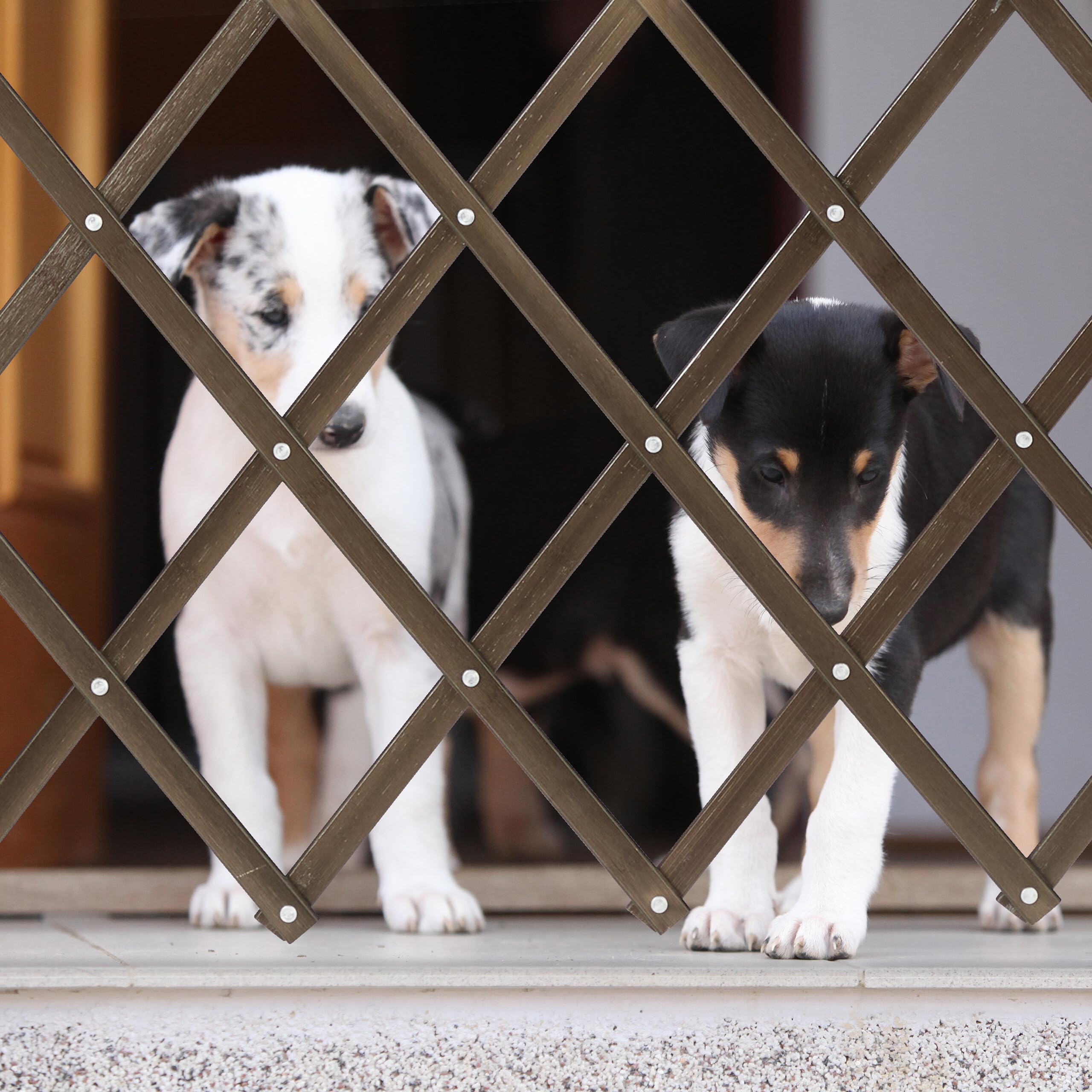 Relaxdays Cancelletto di Sicurezza per Cani, Recinzione Allungabile Fino a 118 cm, Alto 69-82,5 cm, in bambù, Marrone