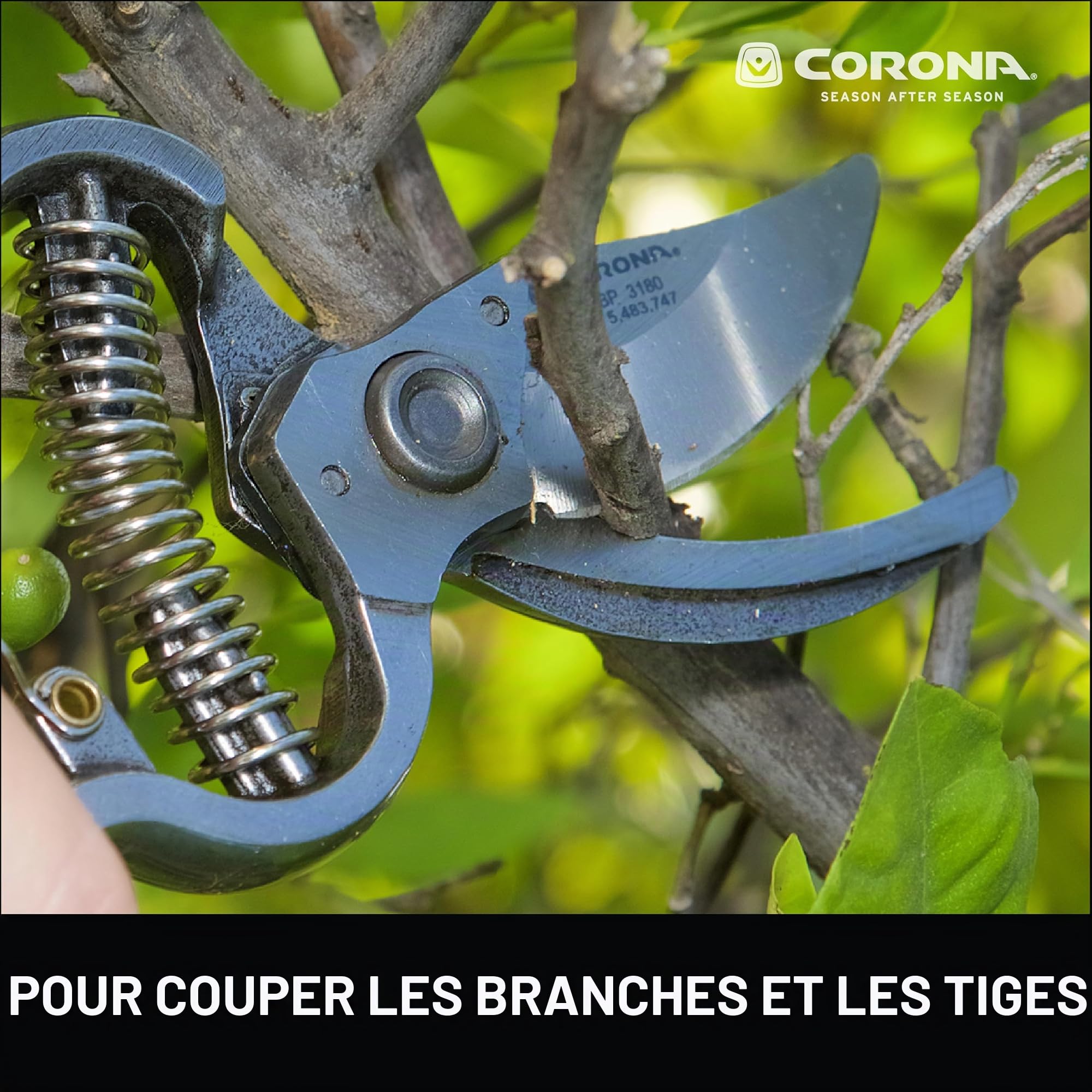 Heavy-Duty Bypass Pruner BP 3180D