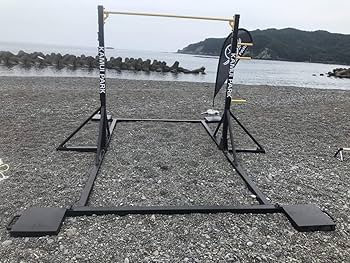 Amazon | 【持ち運び移動式】本格高鉄棒！大人用・体操競技