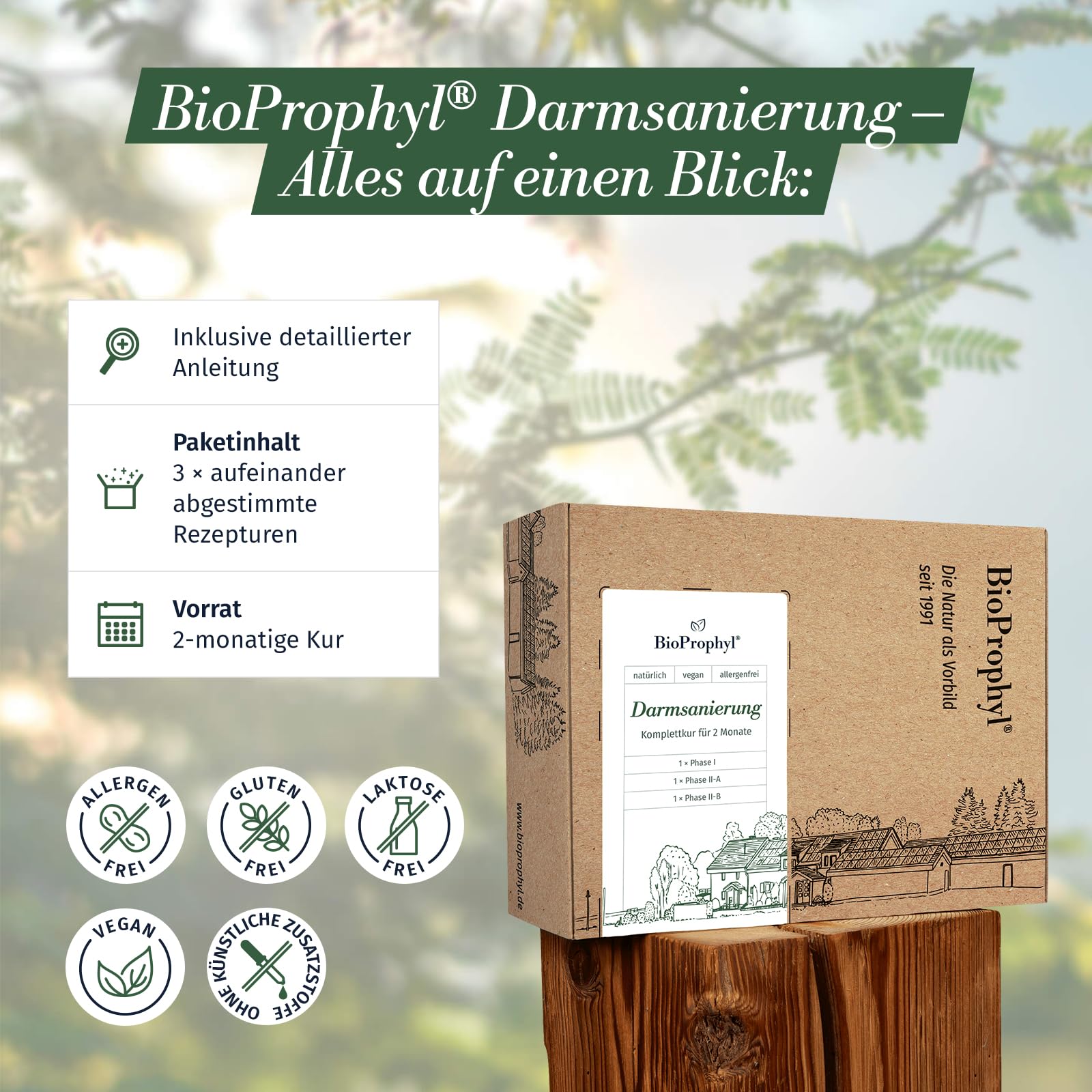 Darmsanierung - 2-monatige Kur inkl. Anleitung zur Darmreinigung u. Pflege