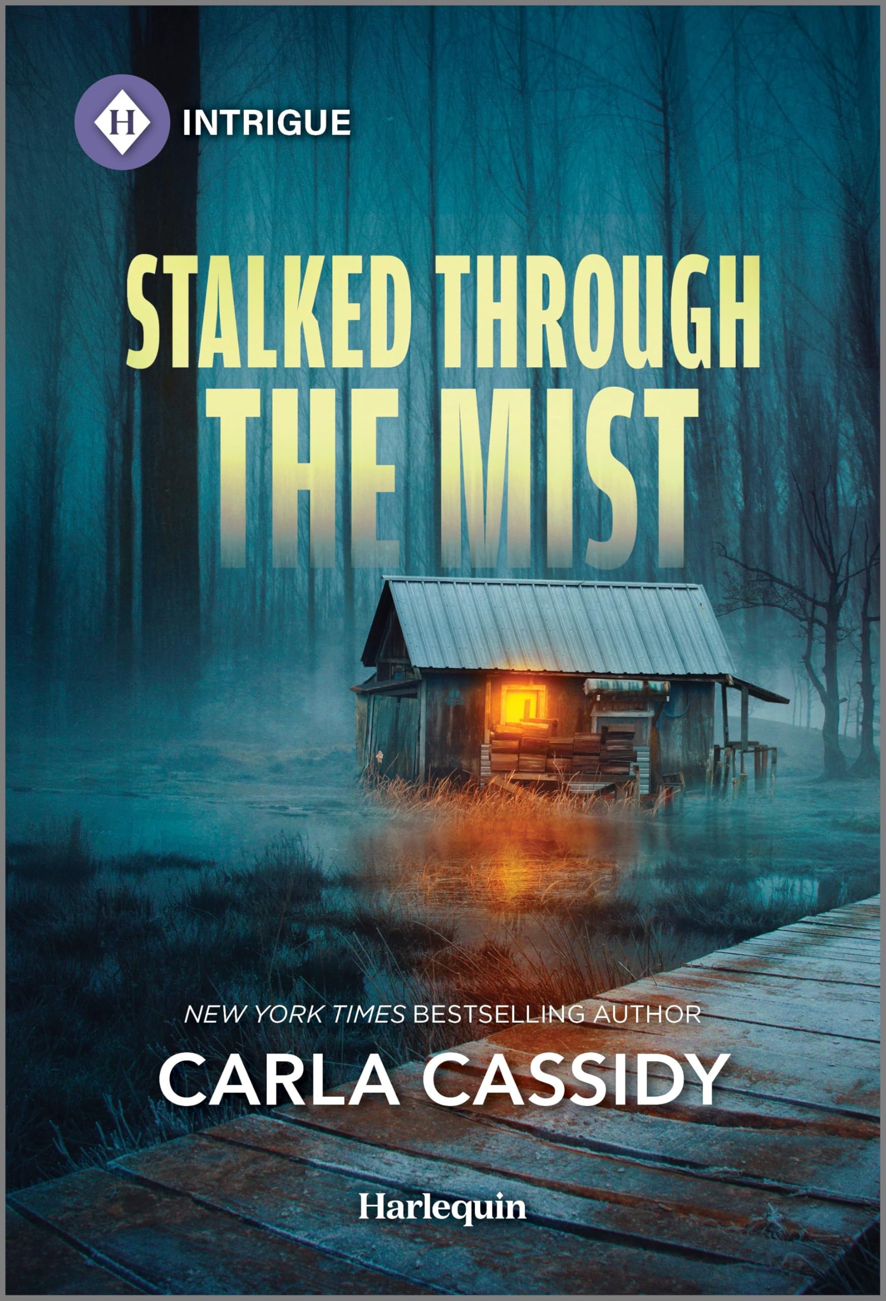 Stalked Through the Mist: 1 (Marsh Mysteries)