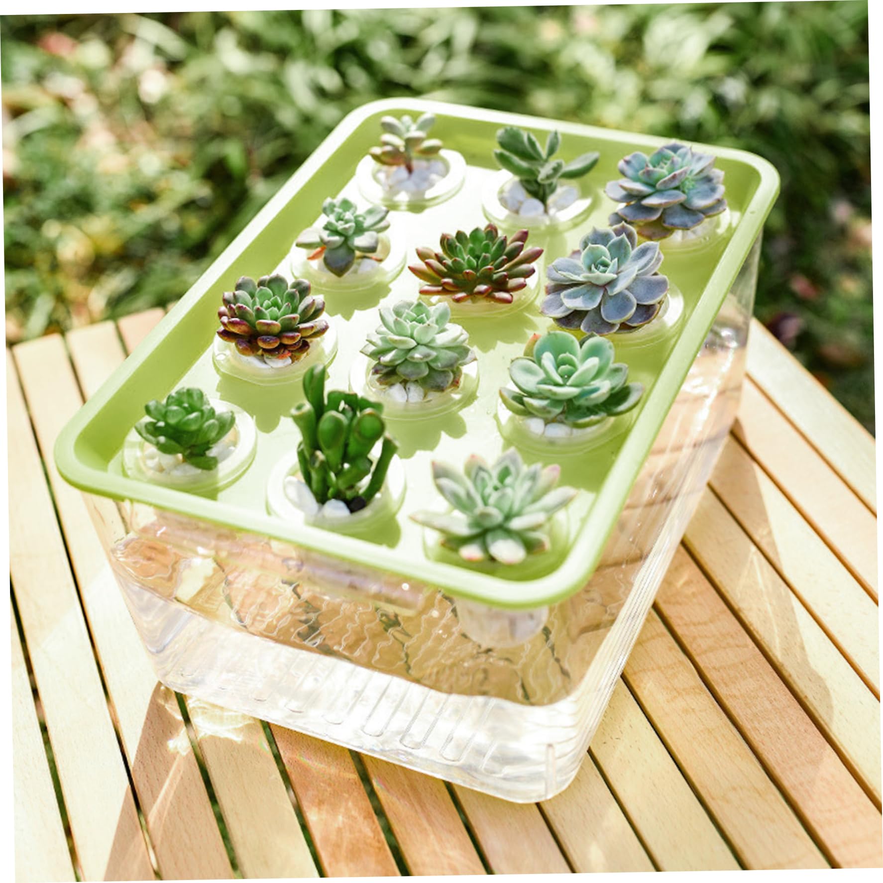 Système de Culture aquaponique hydroponique avec bac de Culture Transparent à 12 Trous et Couvercle Vert idéal pour la Maison Le Balcon ou Un Bureau.