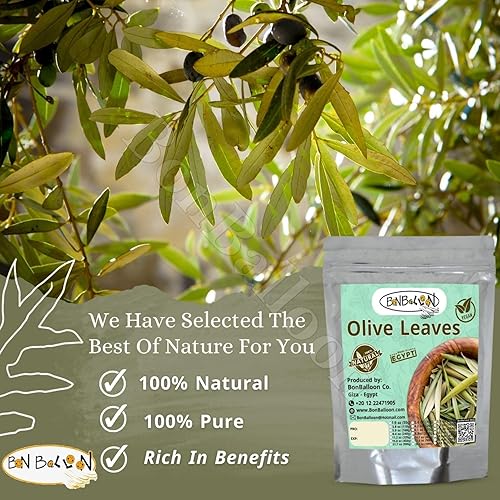 Miniatura 4 de Hojas de olivo Té seco puro y natural Secado Premium Deja Hierbas frescas Hierbas Egipto Oriental Árabe Egipcio Sin Aditivos Sin OGM Kosher Halal (1