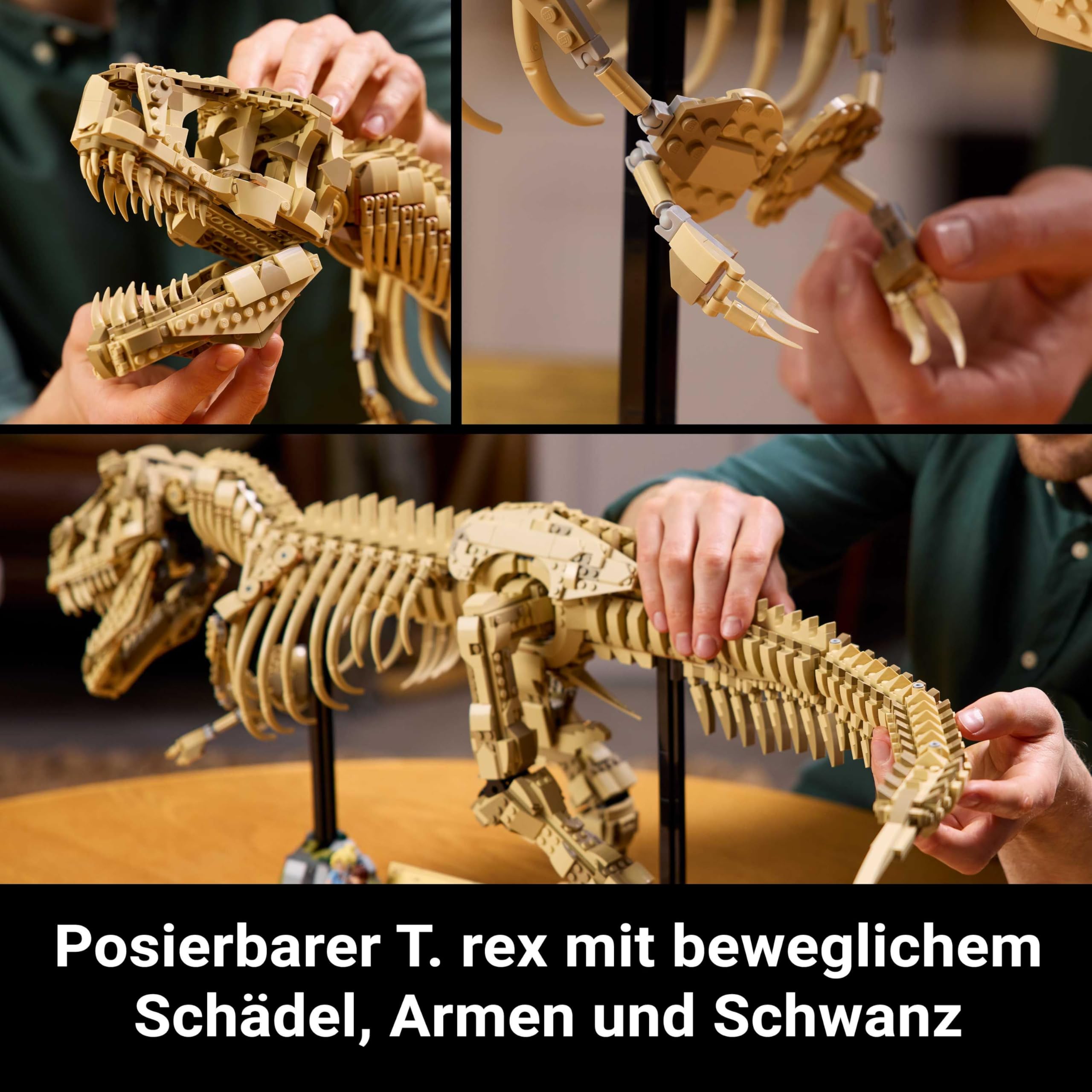 LEGO Tyrannosaurus Rex: Dinosaurier-Fossilien - LEGO T Rex Skelett Groß 76968, Modell im Maßstab 1:12 für Erwachsene, Dino Skelett Groß