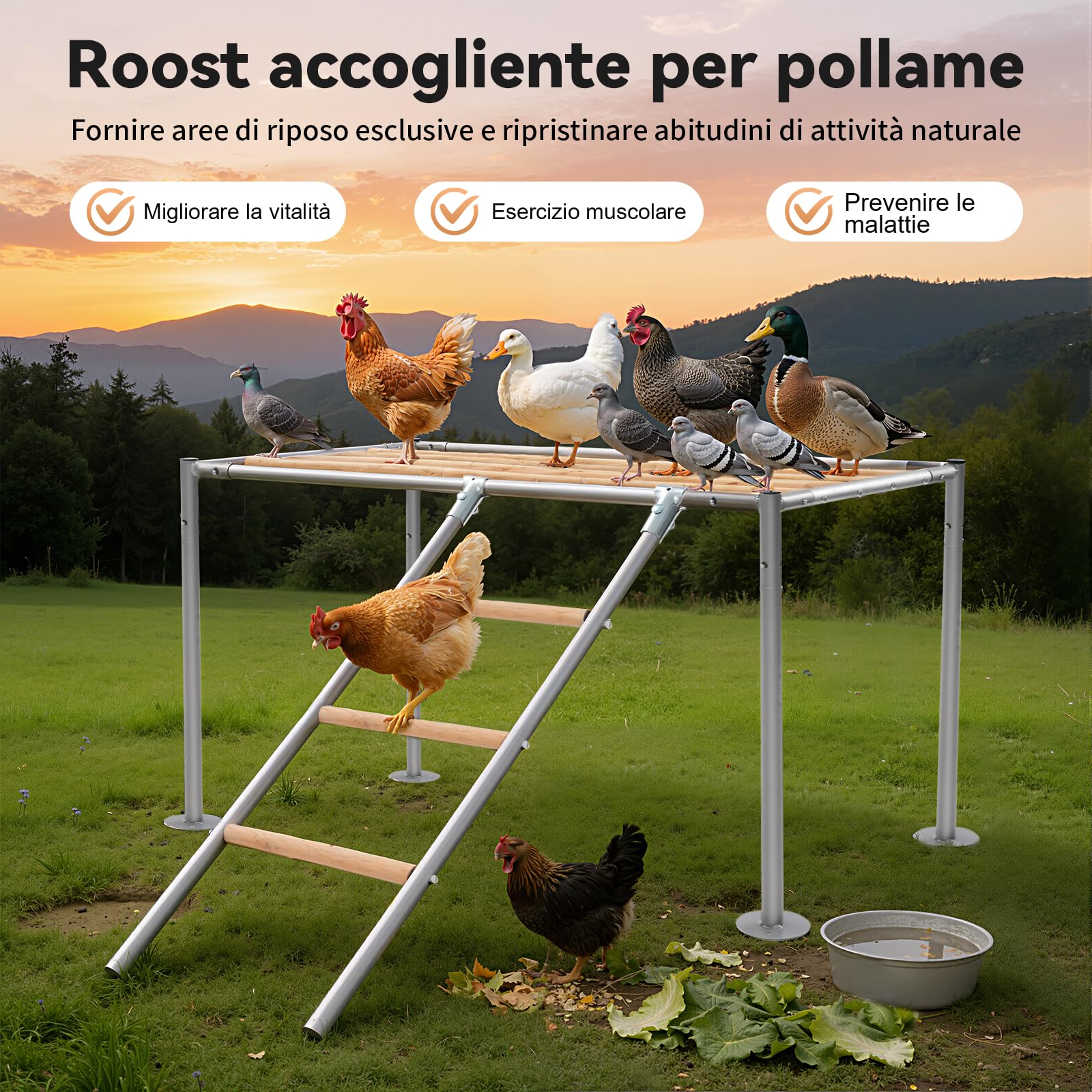 Asta per pollaio, accessorio per pollaio con scala e piattaforma di riposo, torre da arrampicata per 10 polli adulti, case di pollo, allevamento casalinghe, giocattoli per l'habitat