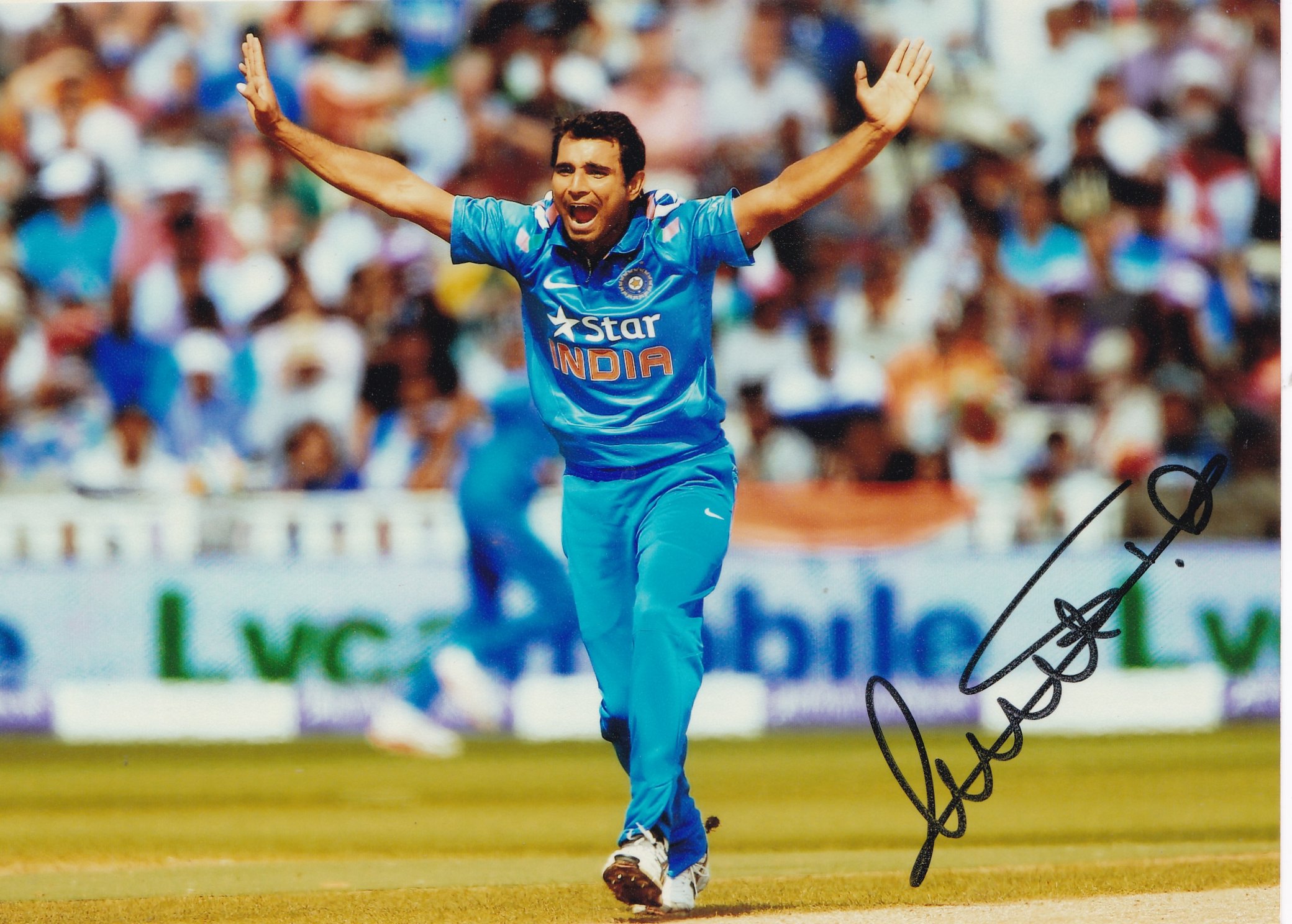 Mohammad Shami Cricket Player Photograph-picture-17