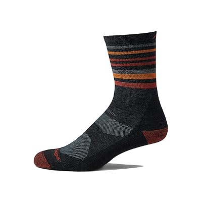 Darn Tough Vermont Fastpack Micro Crew Lightweight Merino with Cushion Men
