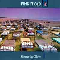 見本盤ピンク・フロイド「鬱」専用解説書付き　Pink Floyd Amazon.co.jp: 鬱 A MOMENTARY LAPSE OF REASON: ミュージック