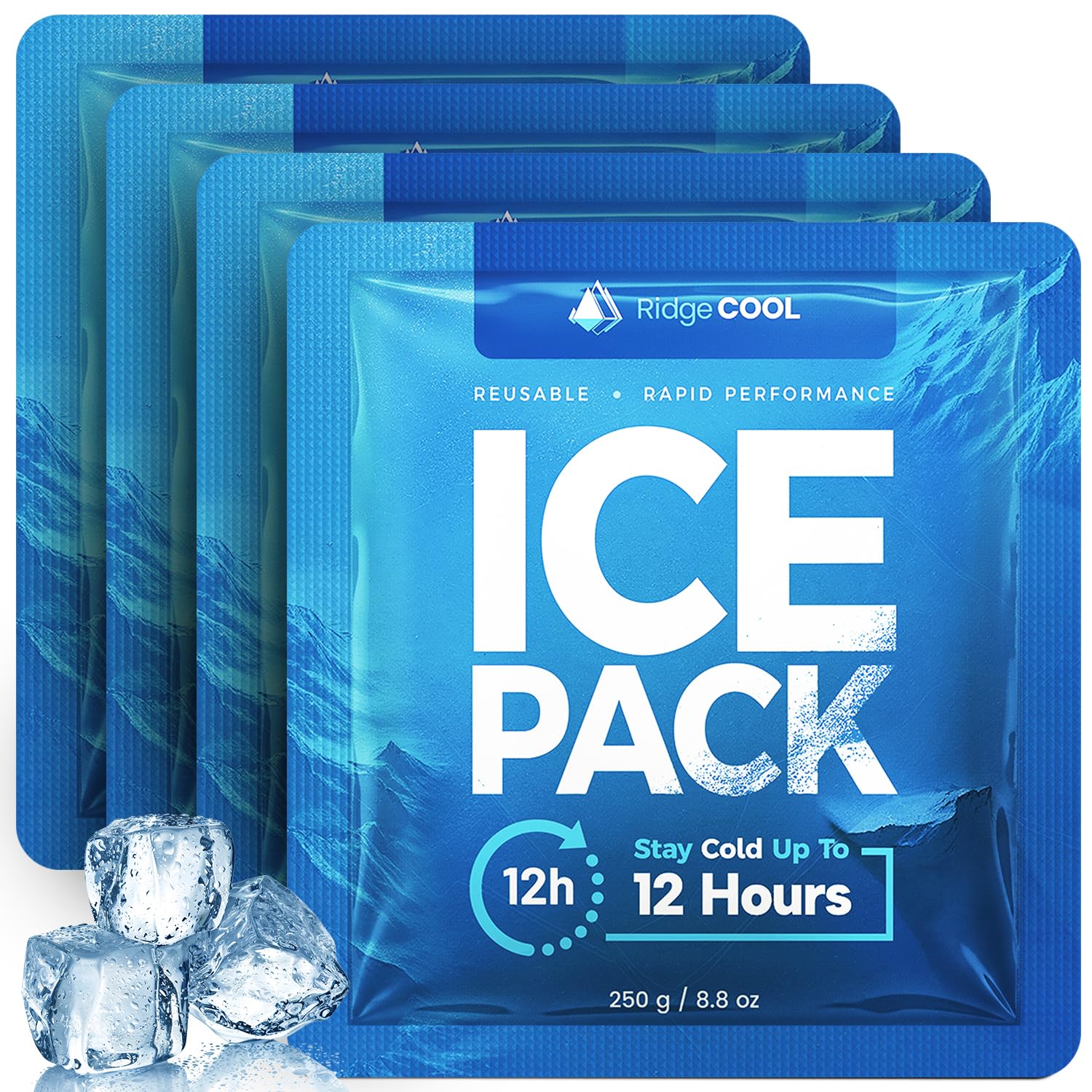 RIDGECOOL 4-Pack Long Lasting Freezer Packs