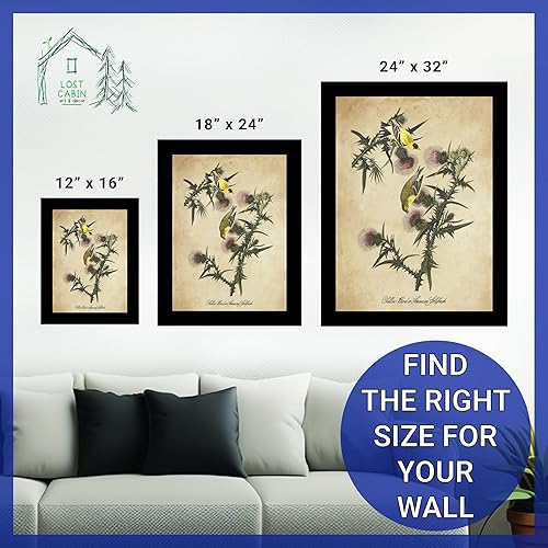 Miniatura 6 de Jilguero americano de James Audubon 12 x 16 con marco biselado negro  Decoración artística enmarcada para pared  Reproducción de pintura fina