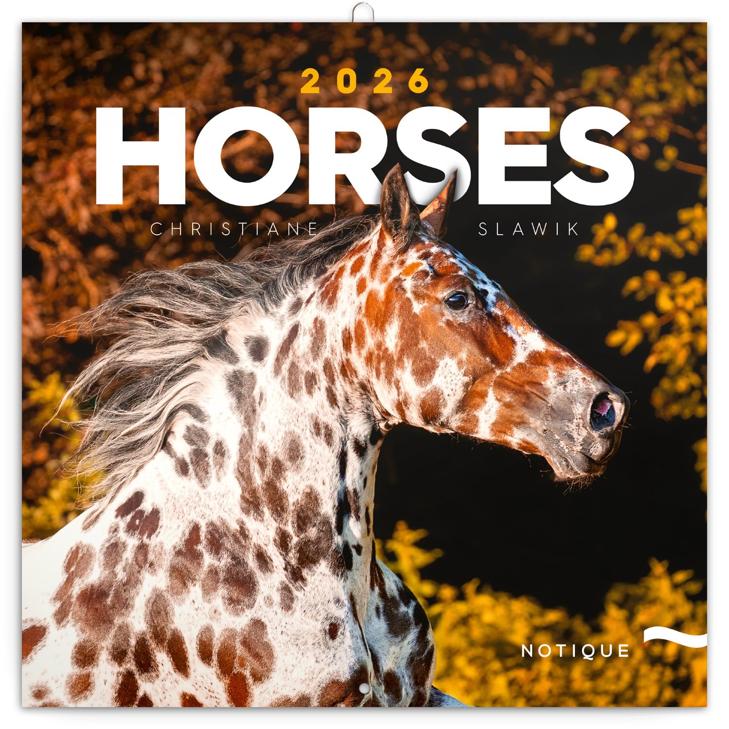NOTIQUE Wall Calendar 2026 Horses Calendar, Brochure Calendar with Monthly Calendar, Brochure Calendar 30 x 30 cm (30 x 60 Open)