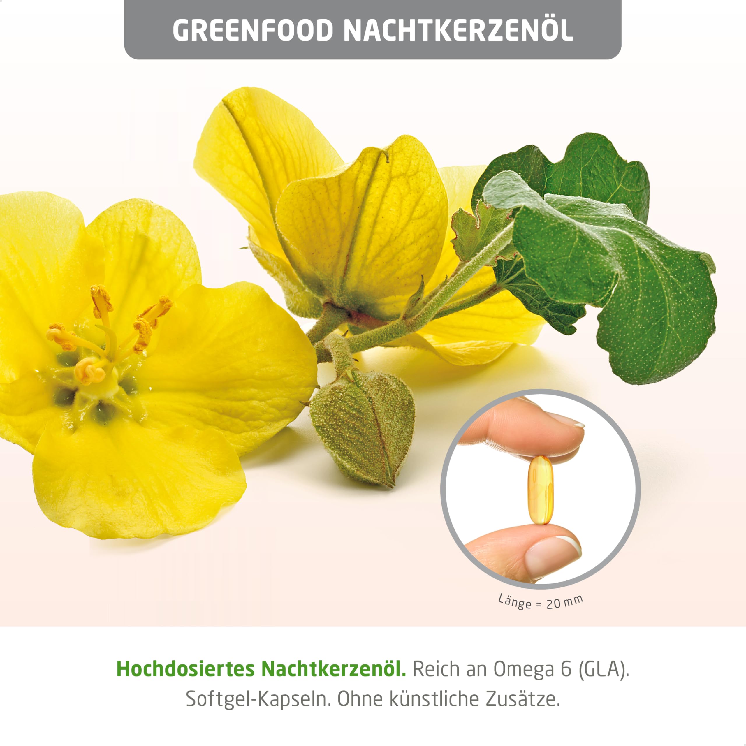 Nachtkerzenöl Kapseln, hochdosiert, 1000mg - 240 Softgels. Reich an Omega-6 (GLA) und natürlichem Vitamin E (Zellschutz). OHNE künstliche Zusätze - laborgeprüft. Von Greenfood.