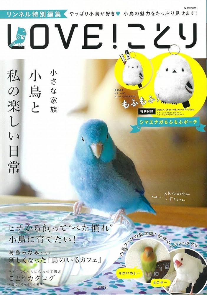 Amazon.co.jp: リンネル特別編集 LOVE! ことり 特別付録