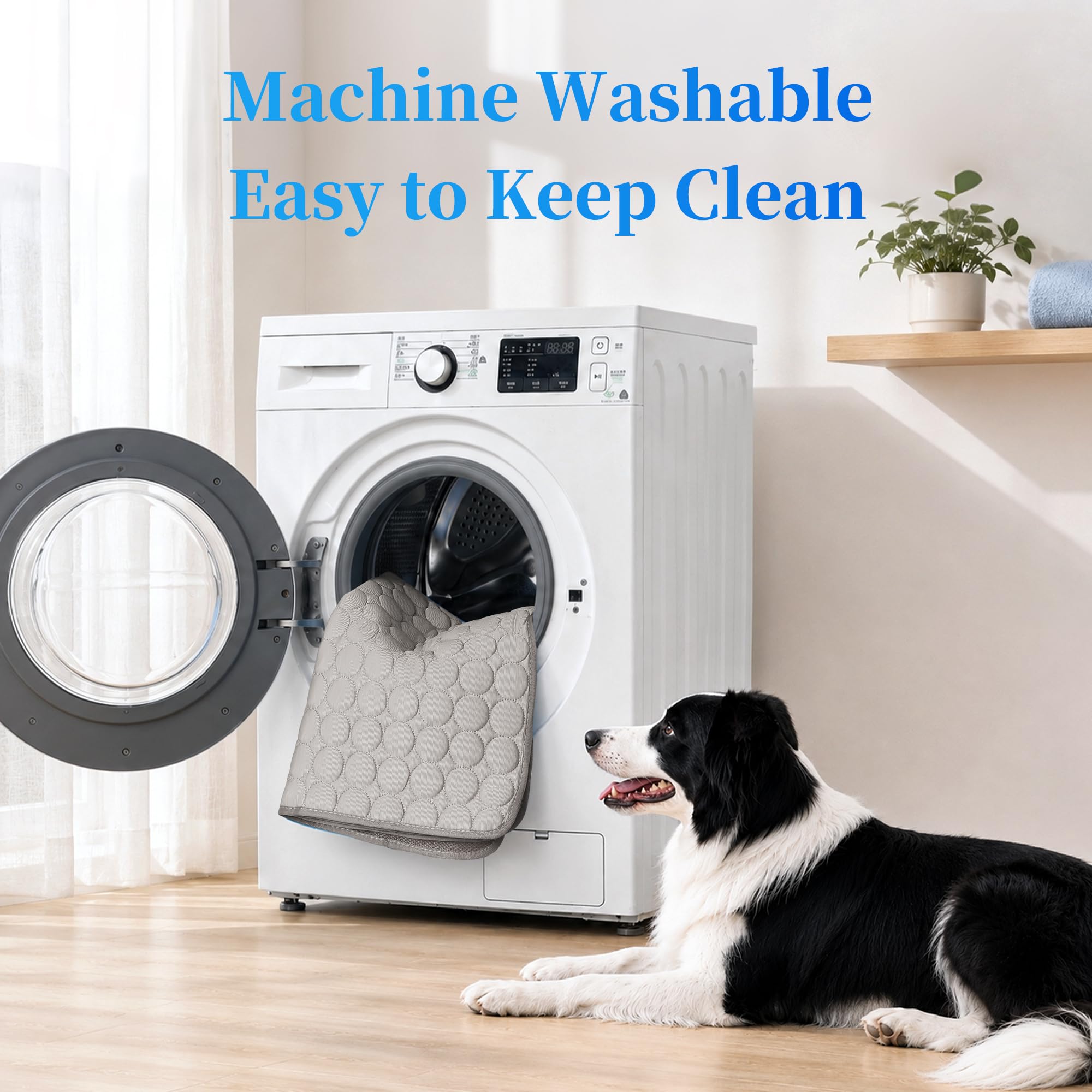 View 6