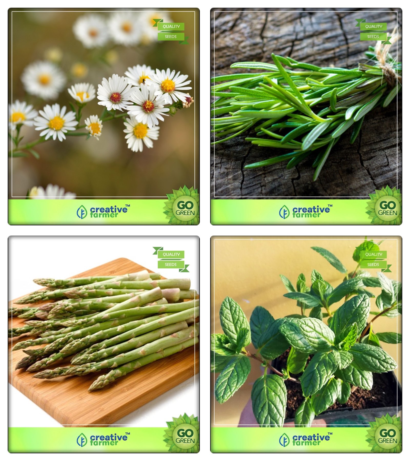 Creative Farmer Medicinal Plant Seeds German Chamomille, Rosemary, Asparagus, Mint Herb Seeds Combo Pack (B078V8JPPV) Amazon Price History, Amazon Price Tracker