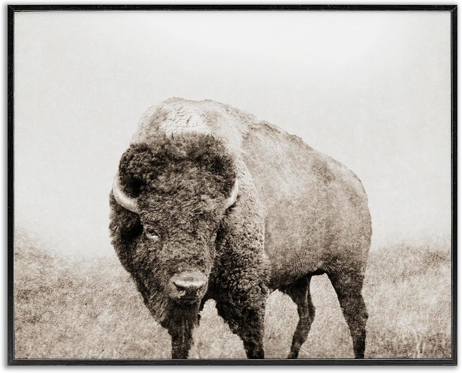 'Bison Distressed Portrait'| Framed Giclee Art | Stupell Industries | Black, 30 x 24 Inches, Easy to Hang and Sturdy, Made in USA, by Dan Meneely