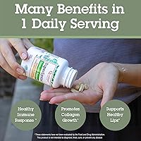 Vista 7 de Super Lisina + Sistema Inmunológico, F-SL90, 1, 1