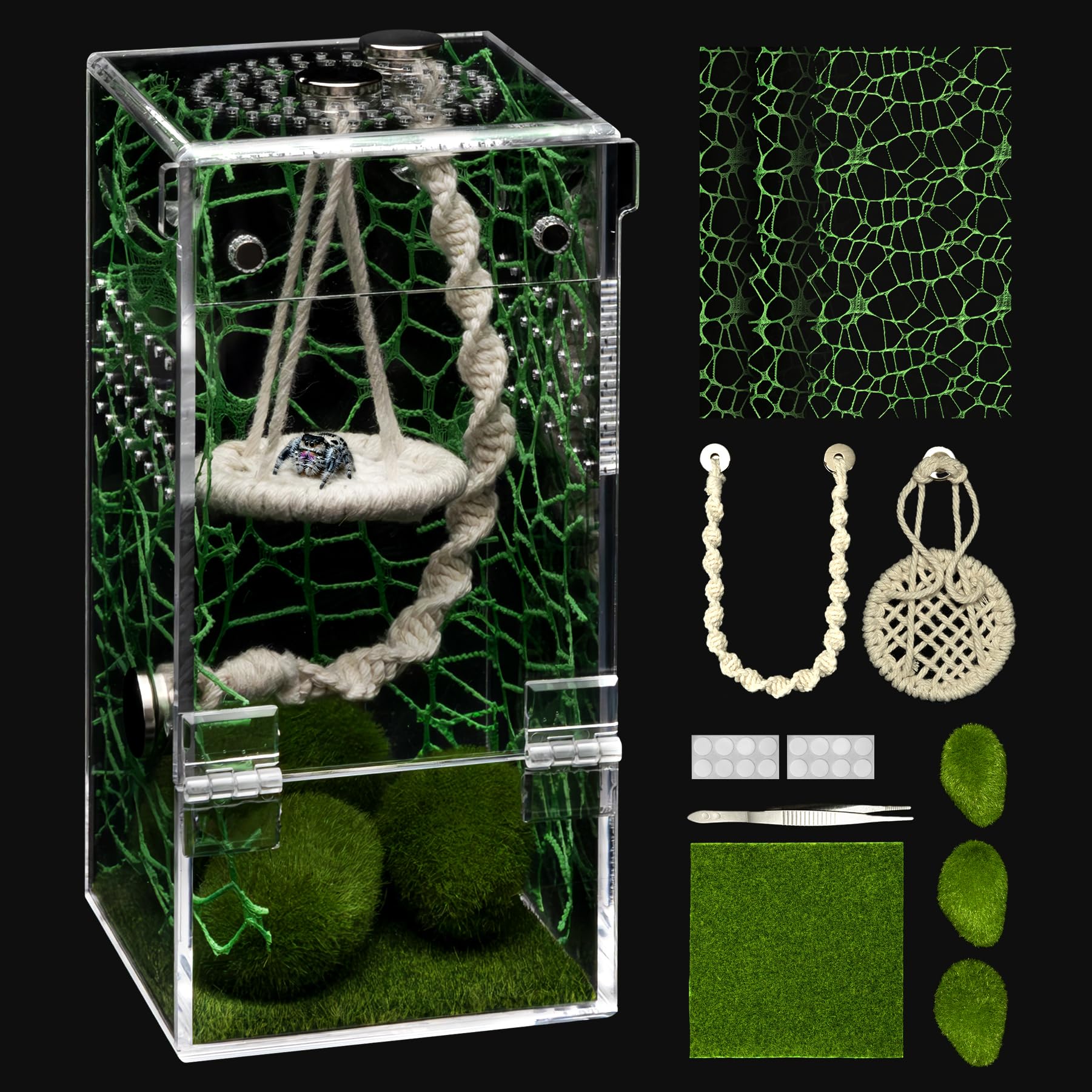 Photo 1 of AZV Jumping Spider Habitat Kit