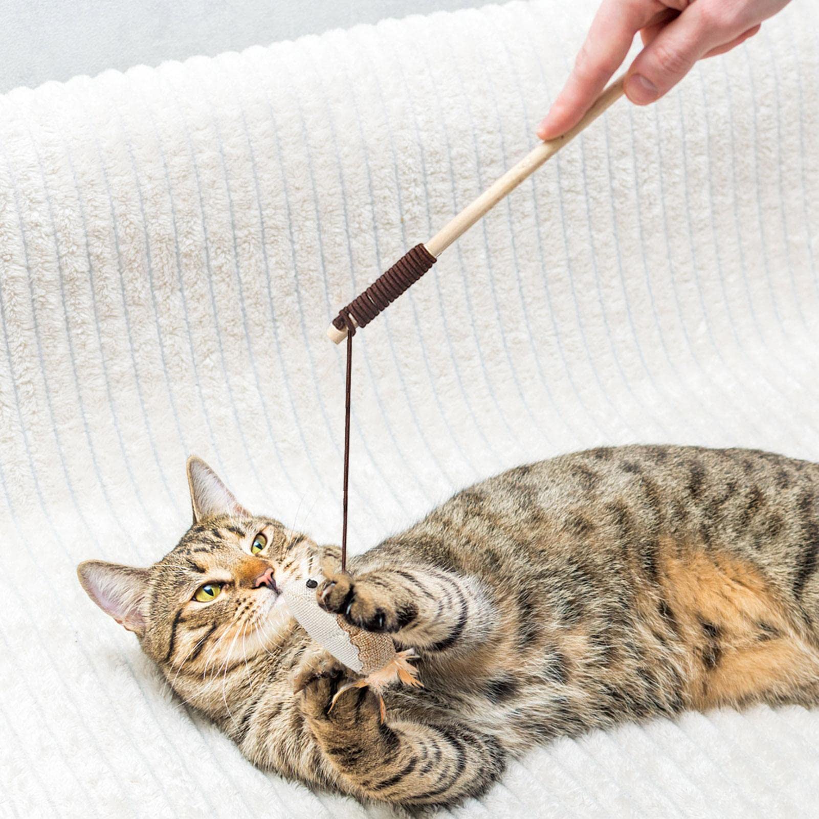 Kattenstok speelgoed, kat stok speelgoed | Realistisch Setaria kattenspeelgoed op stok,Flexibele veer pluche staaf, interactieve kat veren stok, huisdier accessoires
