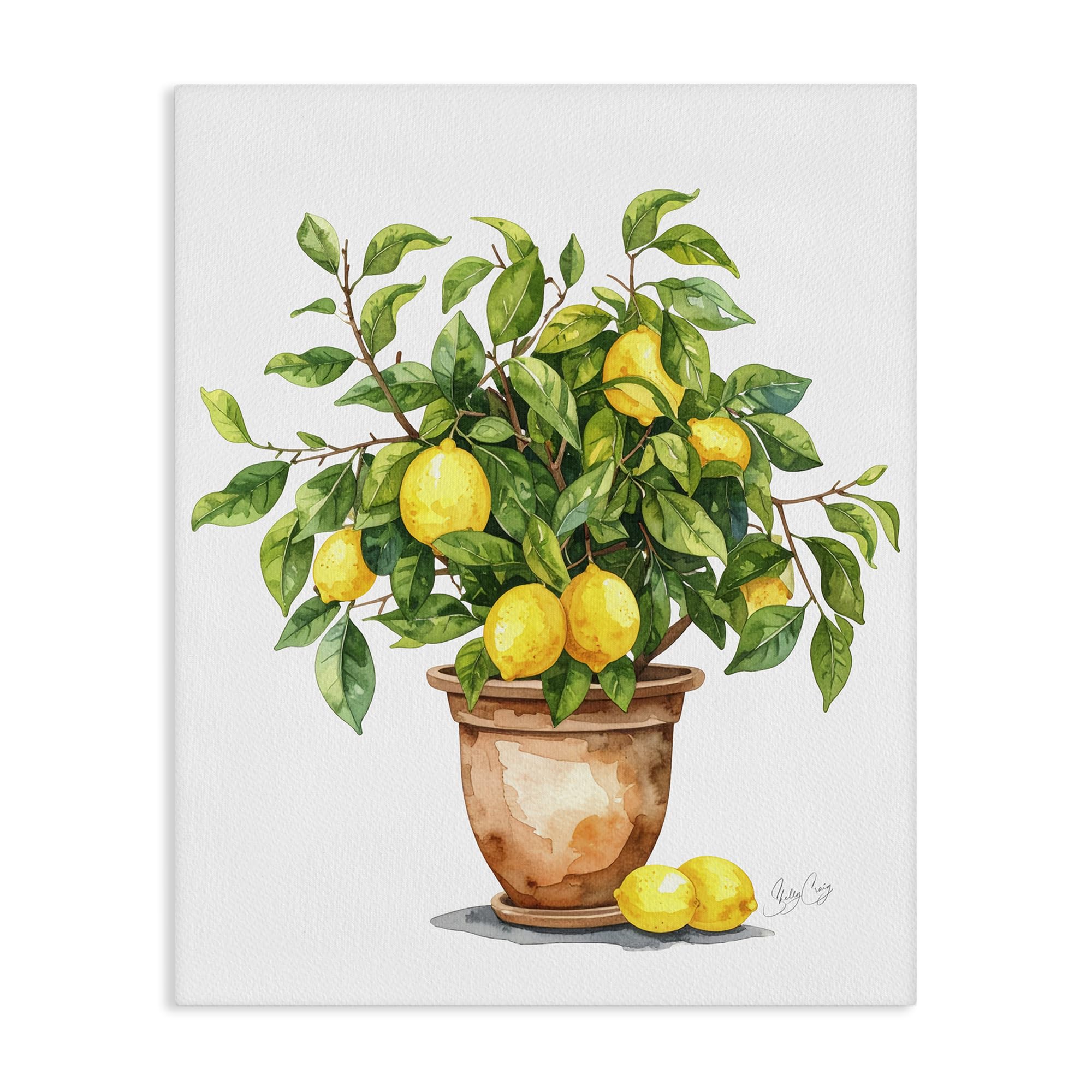 Stupell Industries Unframed Potted Lemon Tree Botanical, 24 X 30 Inch Canvas Wall Art