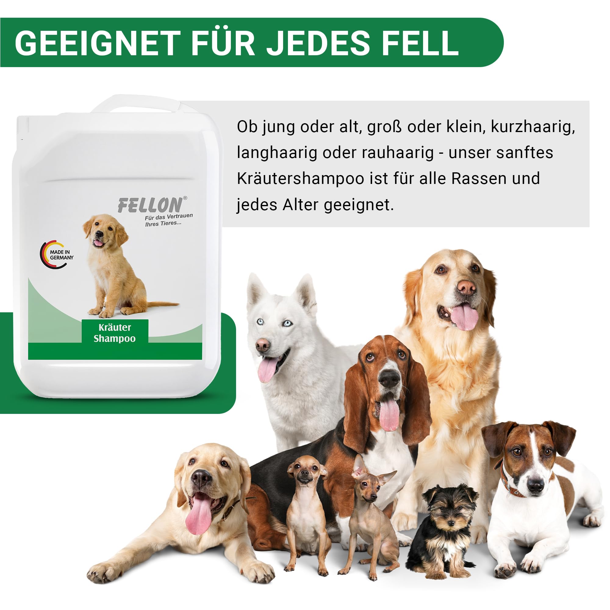 Fellon Kräutershampoo für Hunde – pH-neutrales Hundeshampoo mit natürlichen Kräuterextrakten – Fellpflege für glänzendes Fell, silikonfrei, hautfreundlich, für Welpen & alle Felltypen – 10 Liter