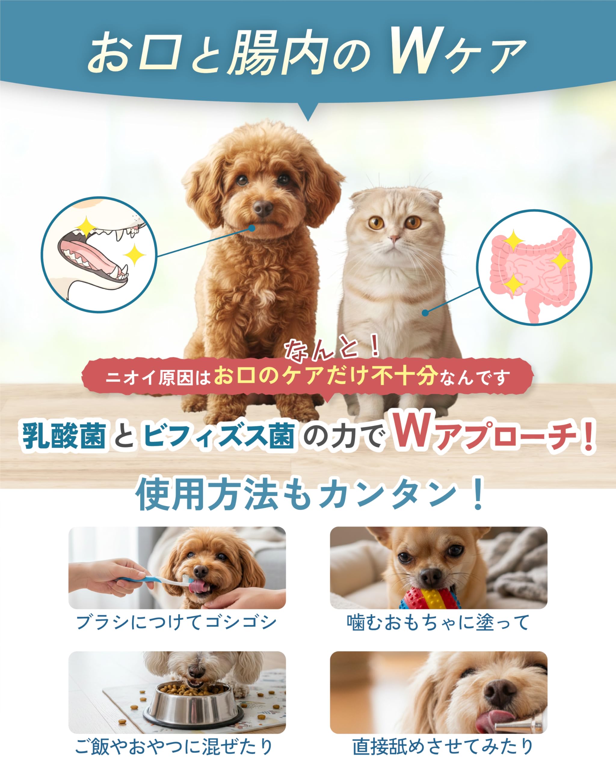 Amazon.co.jp: 【獣医師監修】 犬 歯磨き 粉 ジェル 犬 猫 用 歯磨き
