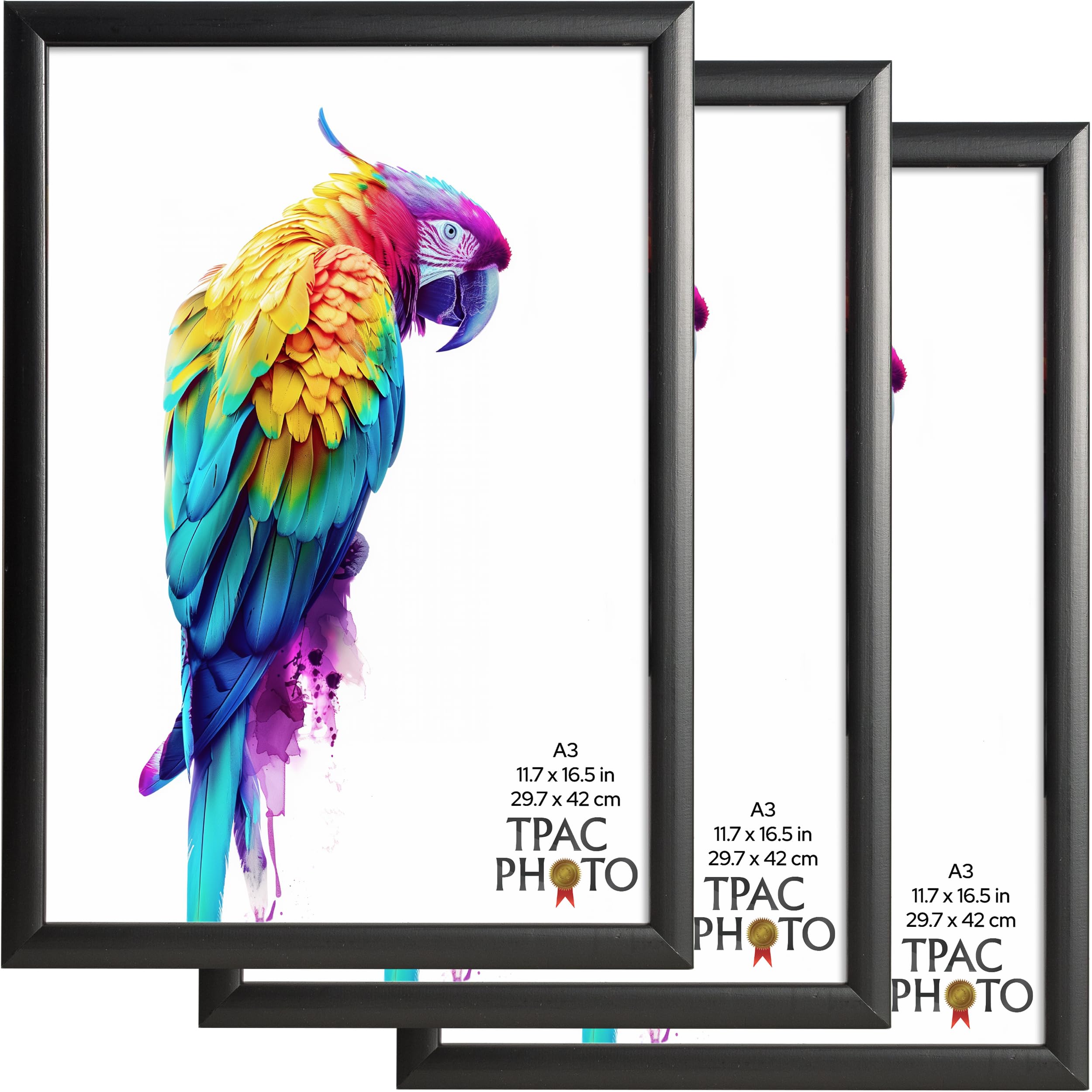The Photo Album Company Limited Black The Photo Album Co Sherwood A3 (30X42cm) Photo Frame Acrylic (Non Glass) Pack Of 3