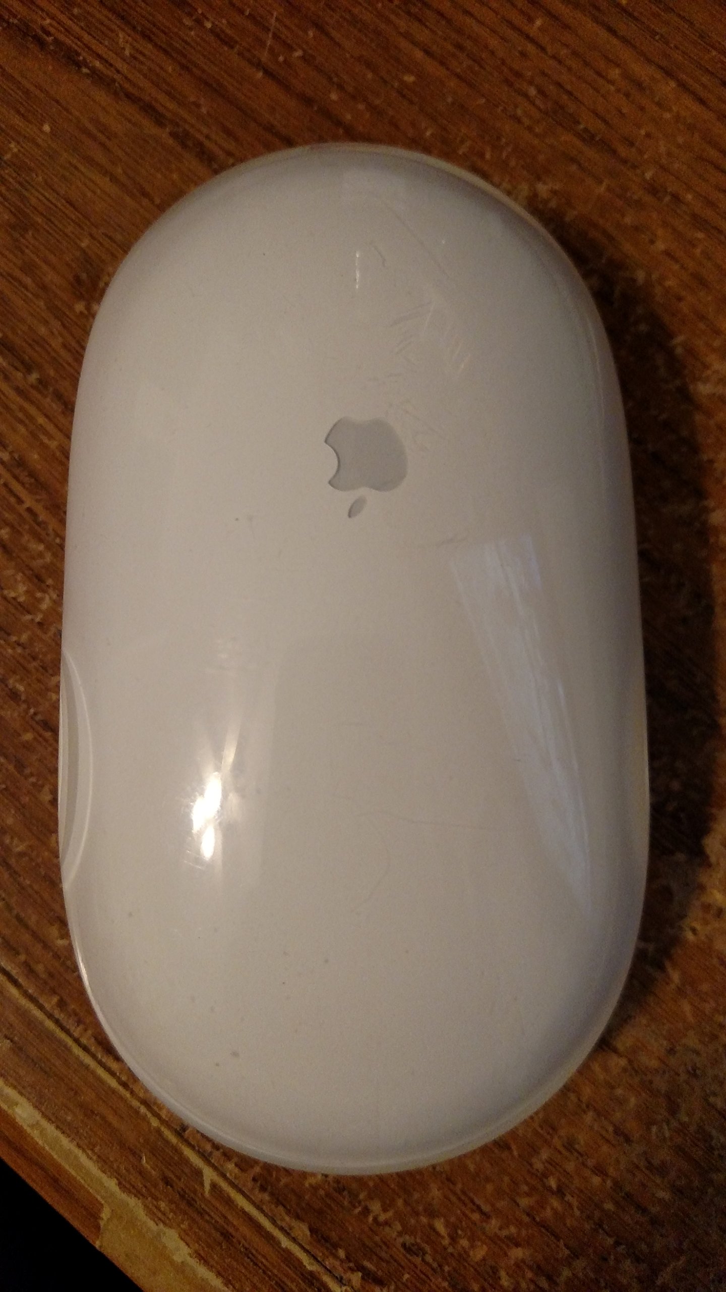 Amazon.in: Buy Apple Bluetooth Wireless Mighty Mouse Online at Low 