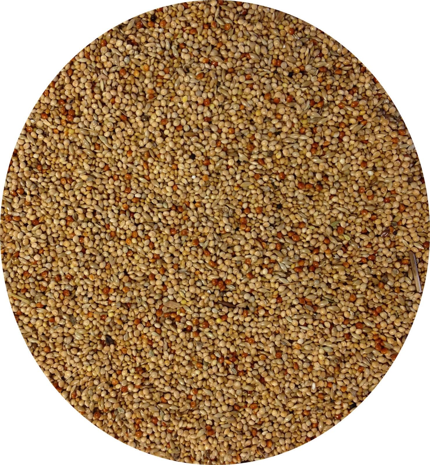 Foreign Finch Seed 10kg 5kg 3kg 2kg 1kg 700g 450g Food For Your Finch Finches Bird Food (2kg)