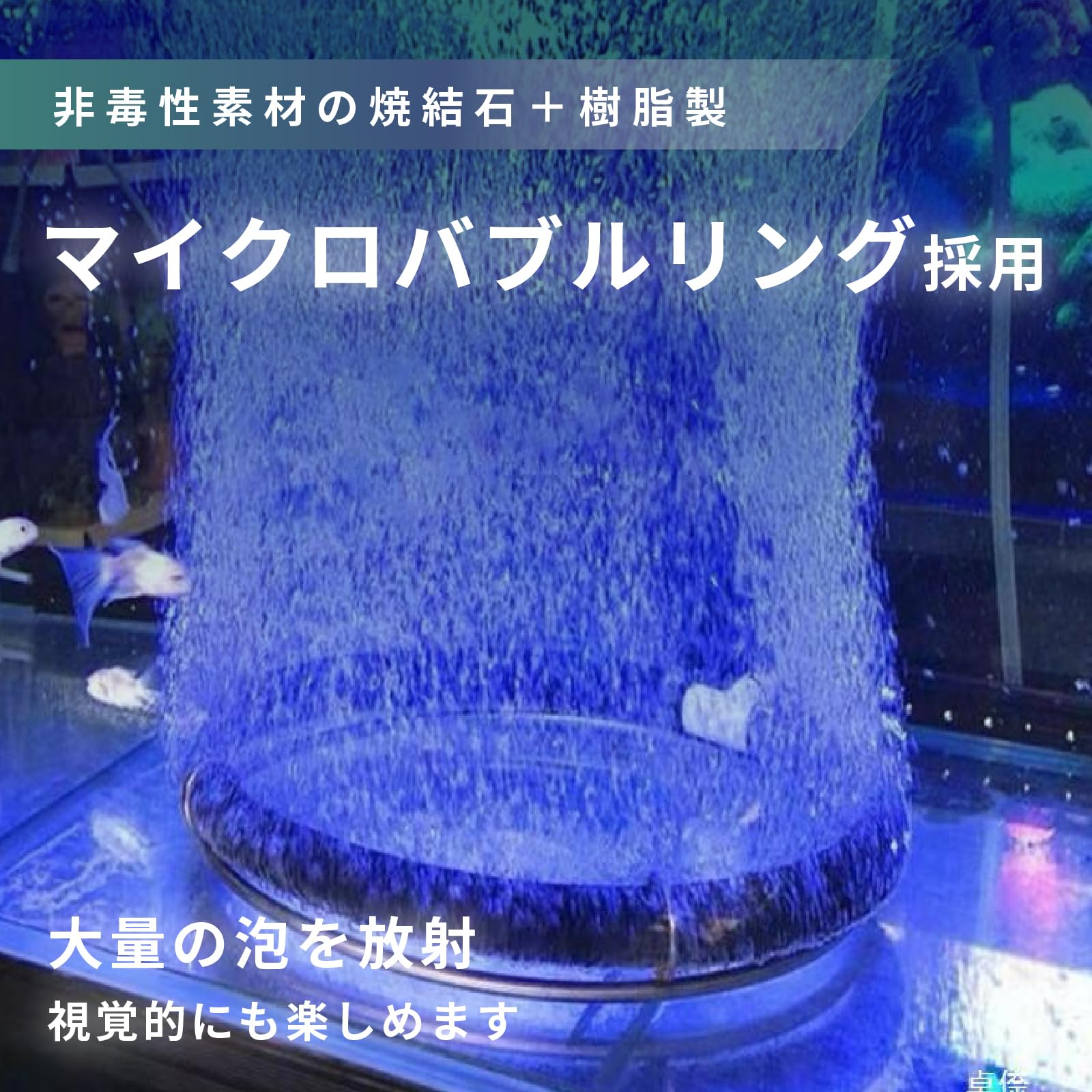 Amazon | VERUNIS エアーリング エアレーション 錦鯉 気泡 エアー
