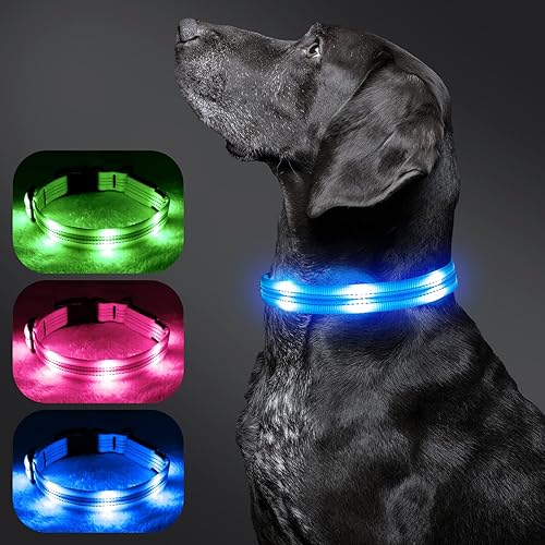 Miniatura 2 de BSEEN Collares de perro con luz LED brillante, collar reflectante para cachorro, collar de perro iluminado ajustable, collar recargable para