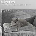 Pad de lit de chat pour chien Ultra Soft Comfy Plat lit dormant Coussin Lavable Crate Mat pour les petits chiens XX et les chats d'intérieur Anti-dérapant petit chien Kennel Pad Cat Carrier Mat 18 x 12 gris de pouce