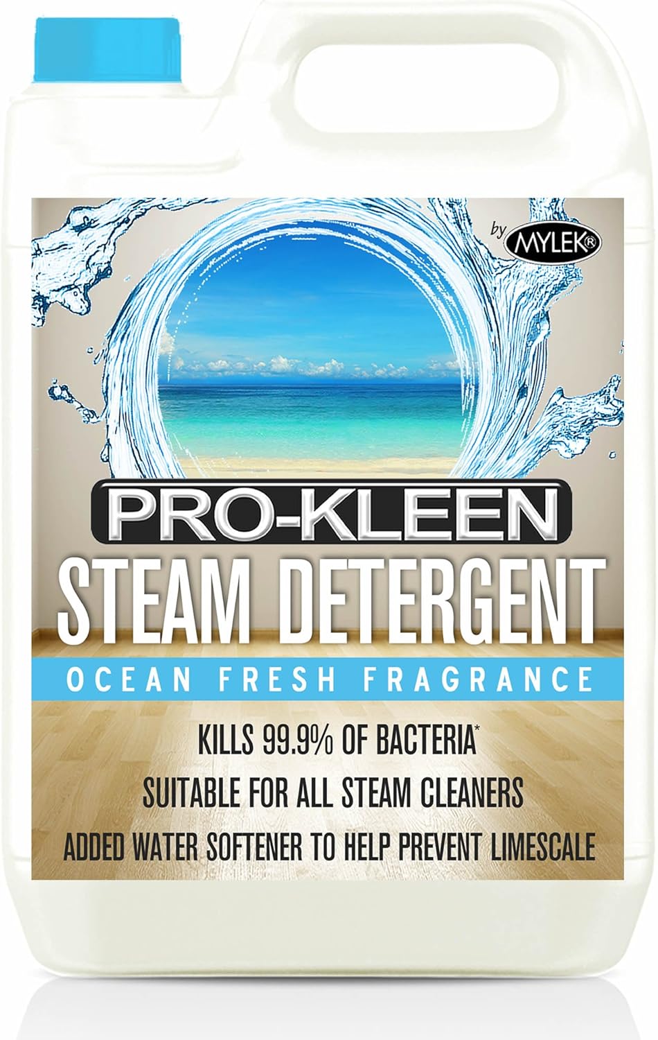 detergenti a vapore per la casa wagner