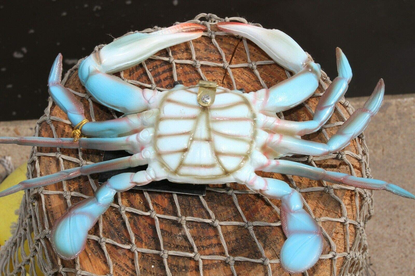 Amazon.com: Salty Pelican 2 Large Blue Crab Wall Sculpture Hanging
