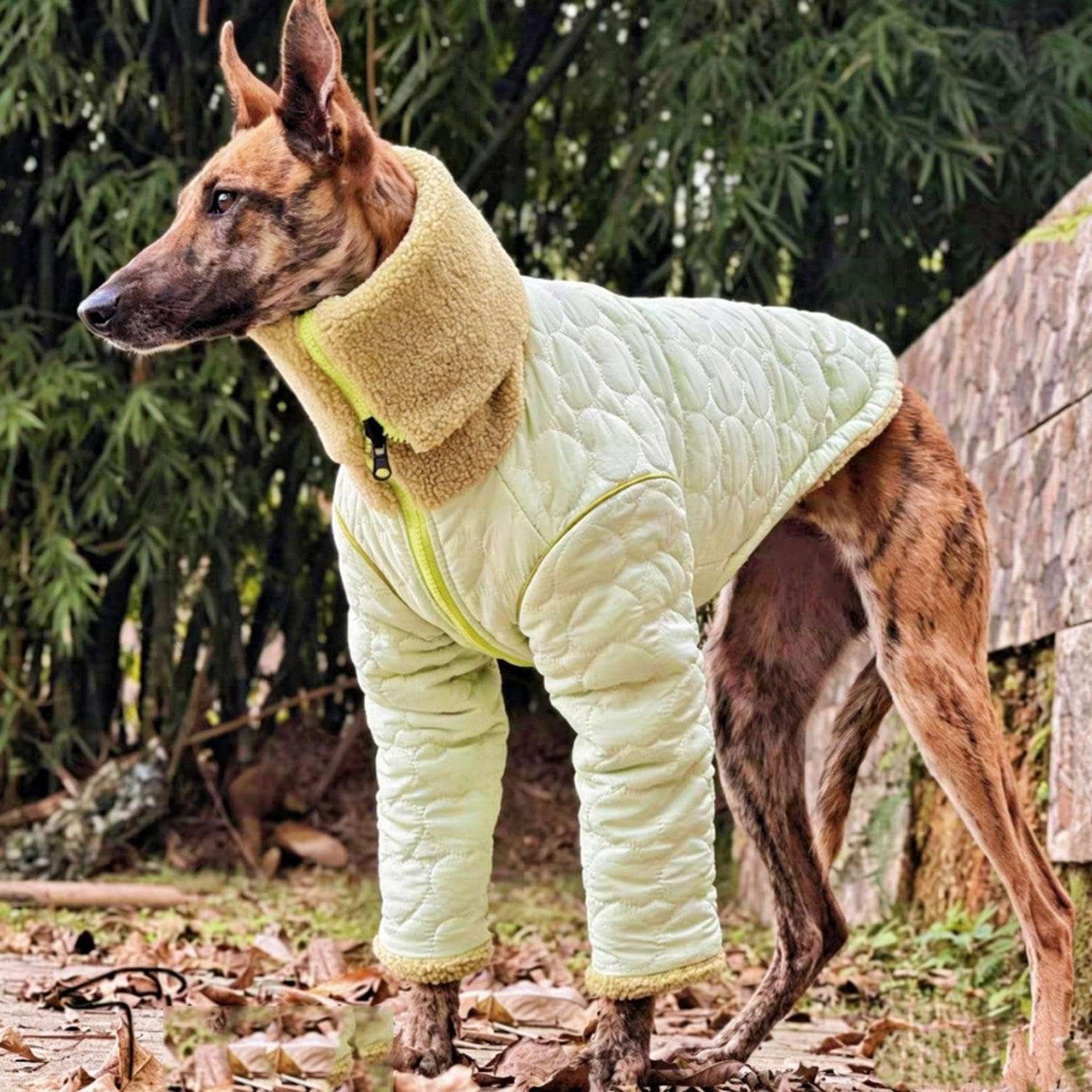 Manteau réversible for lévrier Italien, vêtements d'hiver à Fermeture | Sweat-shirt chaud à col roulé à deux pattes en polaire Sherpa Whippet for chiens de petite(XL)