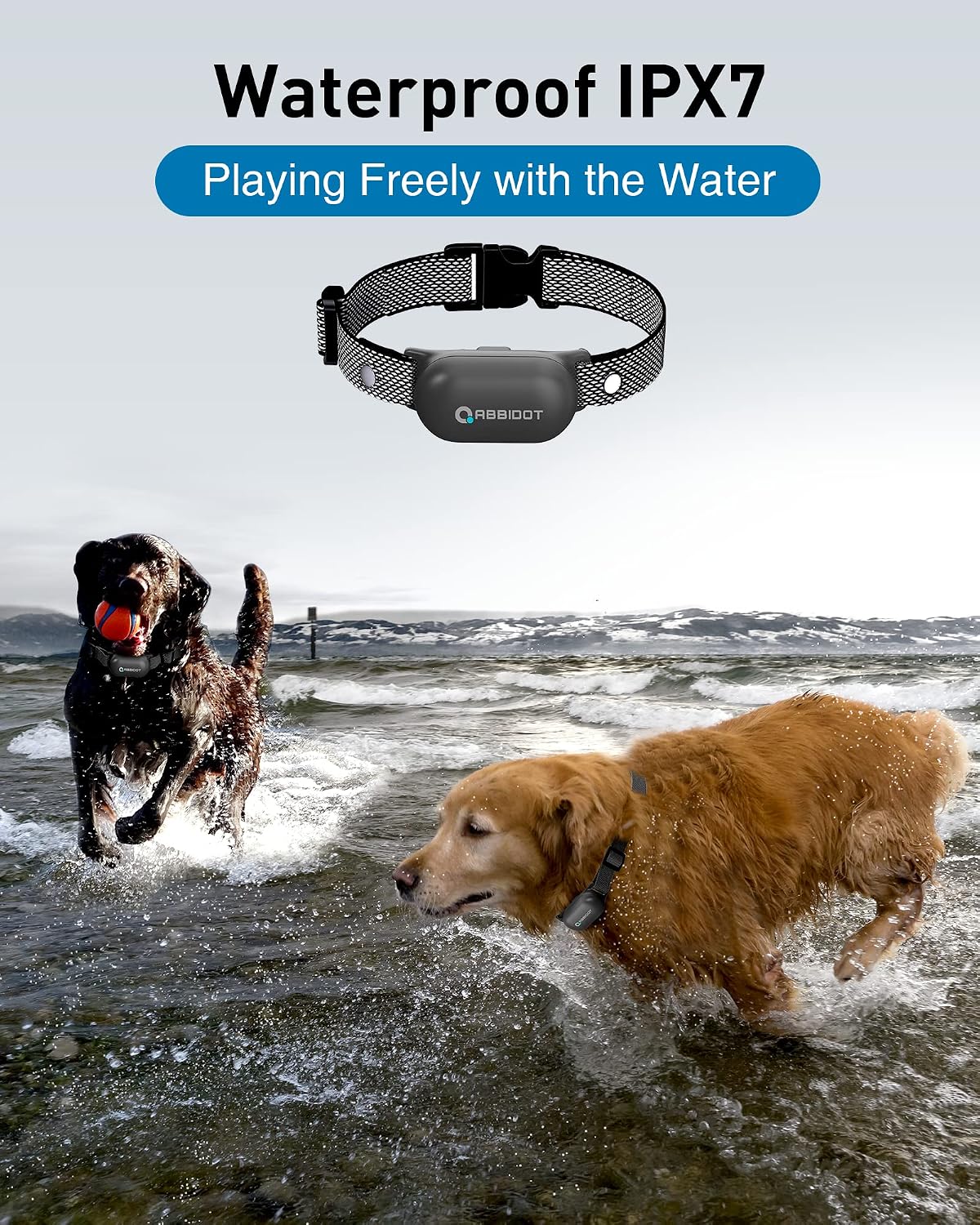 ABBIDOT Dog Training Collar with Remote-Rechargeable Shock Collar for Small Large Dogs,3000Ft Control e Collar for Dogs Training with Beep/Vibrate/Safe Shock