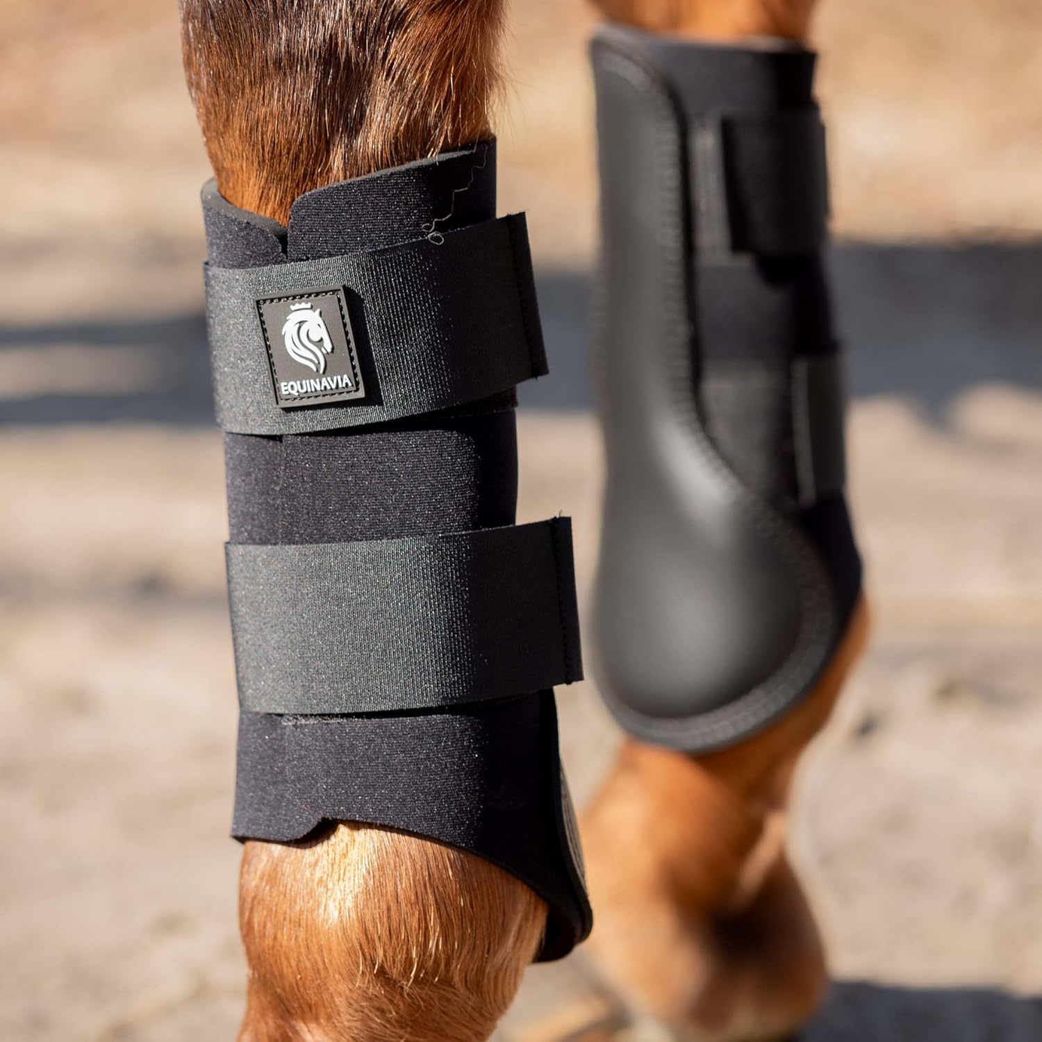 Equinavia Balder Brushing Boots for Horses – Full-Coverage Neoprene Leg Protection – Durable Strike Pad – Easy Care – Sizes S to XL - Black - XL