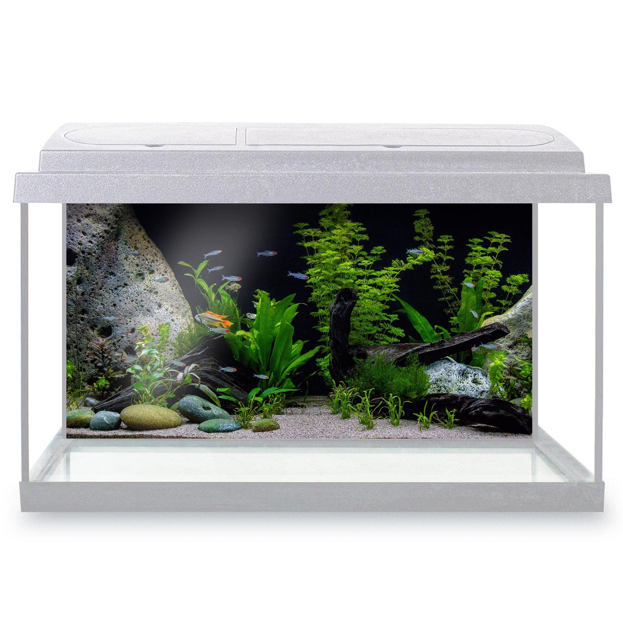 DV DESIGN Aquarium Fish Tank Background 60x30 cm - Beautiful Freshwater Plants Stones Marine Sea Blue Underworld Static Cling Vinyl Vivarium Terrarium External Application #500015