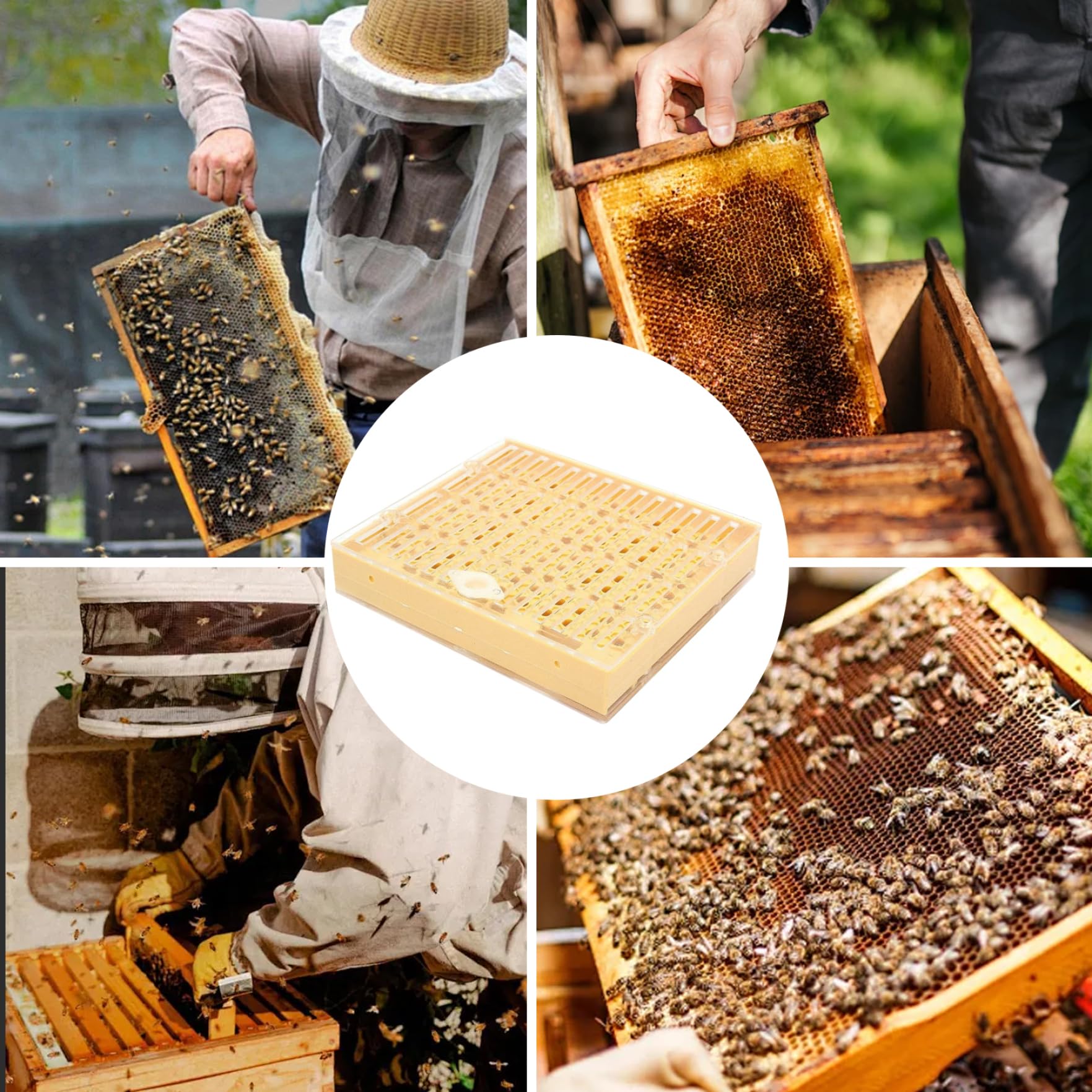 Bienenzucht-Starter-Set, Königin-Aufzucht-Set, komplettes Bienenzucht-Starter-, einschließlich Königin-Aufzuchtbox, Zellbechern und beweglichem Veredelungswerkzeug-Ausschluss